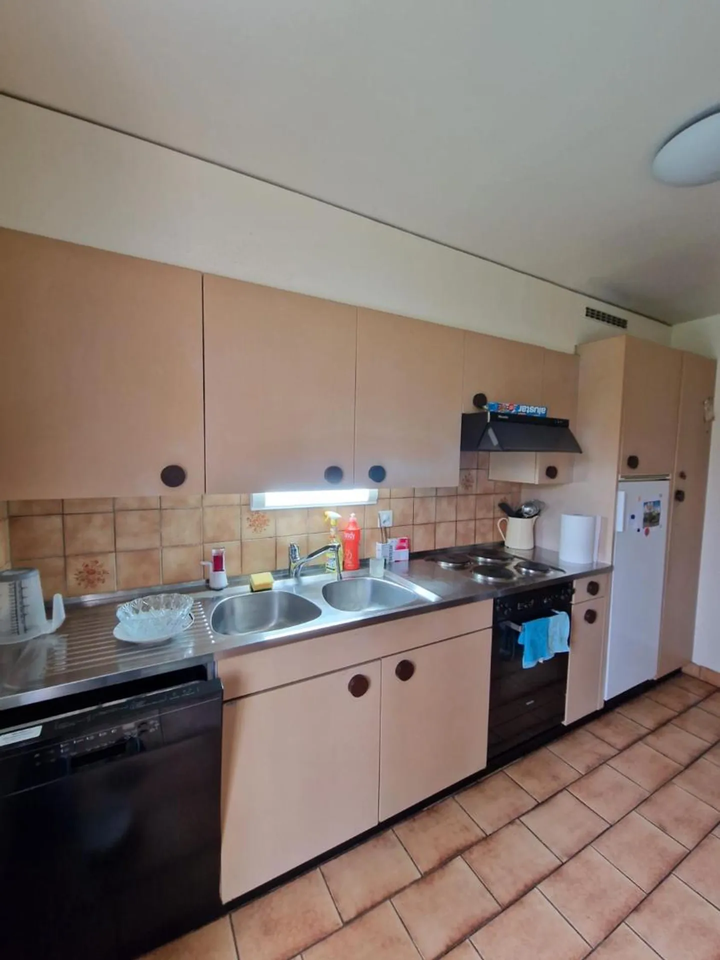 Charmante Wohnung in Morges - Foto 3 von 3