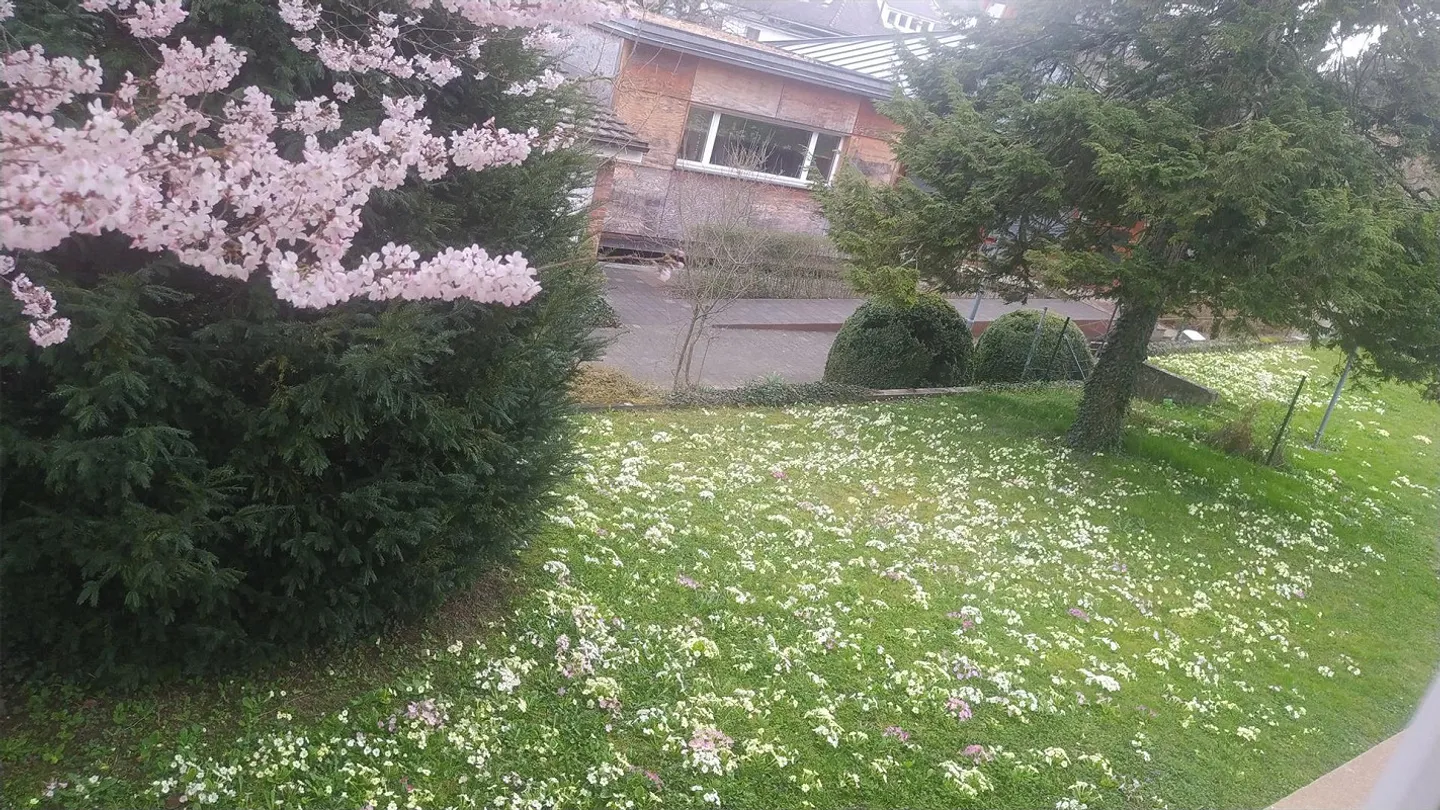 Appartement lumineux de 2,5 pièces à Bottmingen (BL) – Recherche d'un nouveau locataire - Photo 5 sur 10
