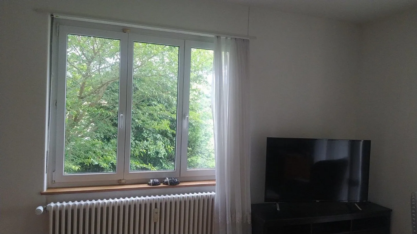 Appartement lumineux de 2,5 pièces à Bottmingen (BL) – Recherche d'un nouveau locataire - Photo 3 sur 10