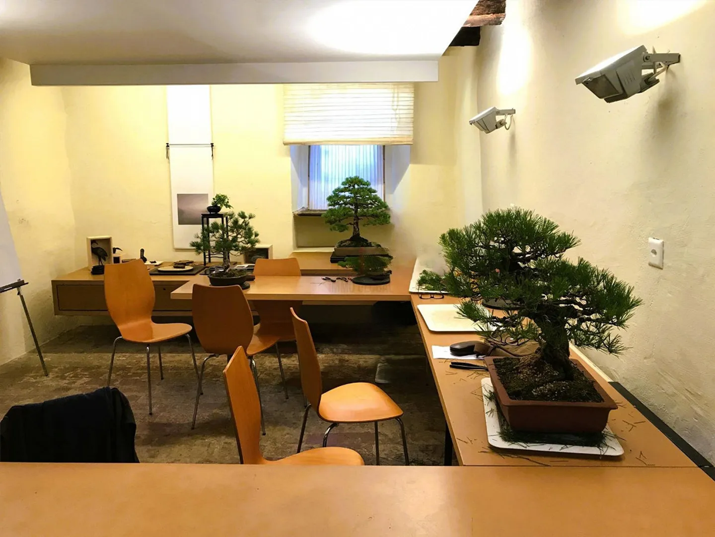 UN PROJET UNIQUE À DEUX PAS DU LAC - Photo 12 sur 13