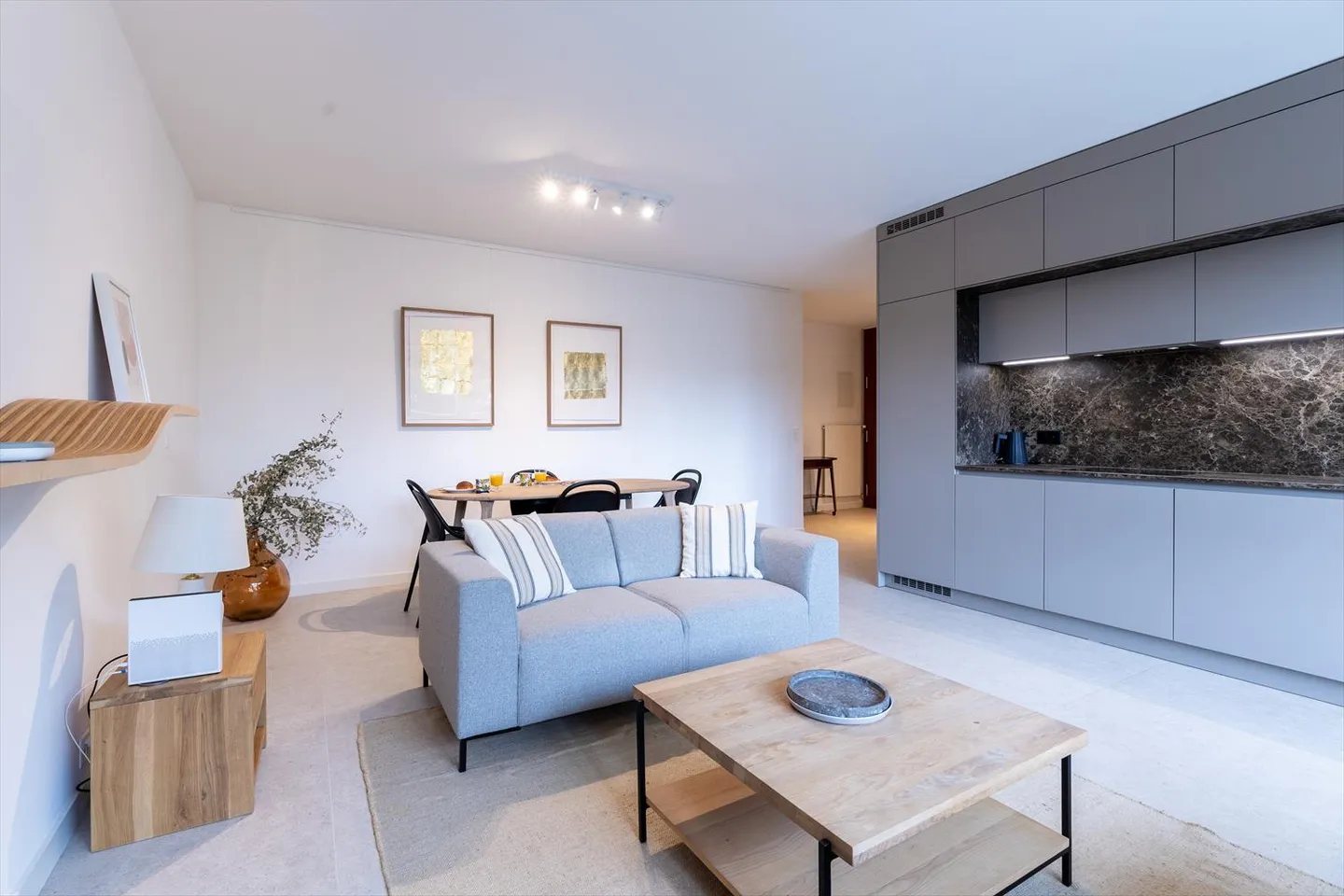 Stupendo appartamento con 2 camere da letto in affitto a Ginevra - Posizione ideale e completamente attrezzato - Foto 3 di 11