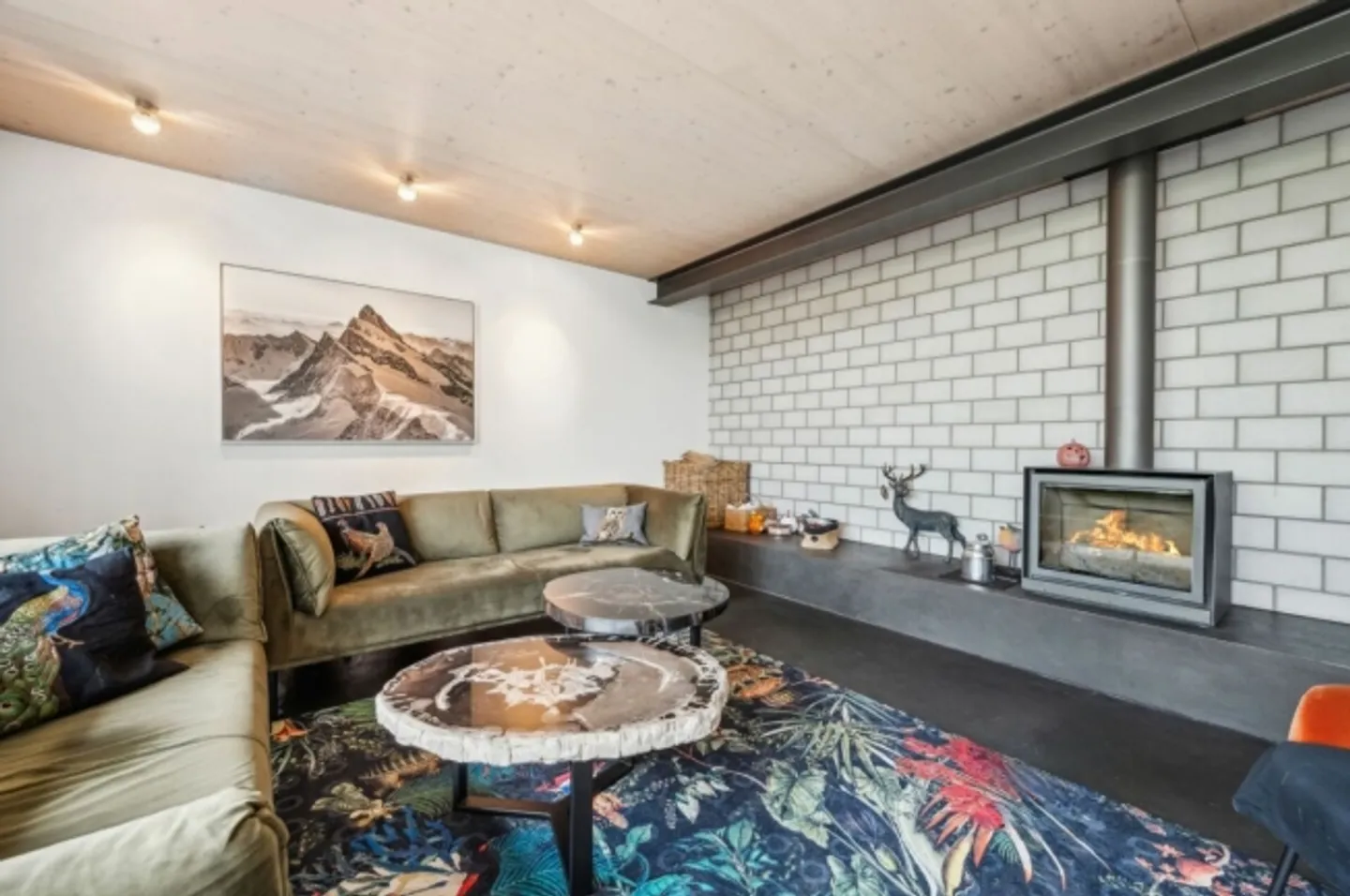 Casa unifamiliare di lusso e situata in posizione tranquilla con layout moderno - Foto 3 di 14