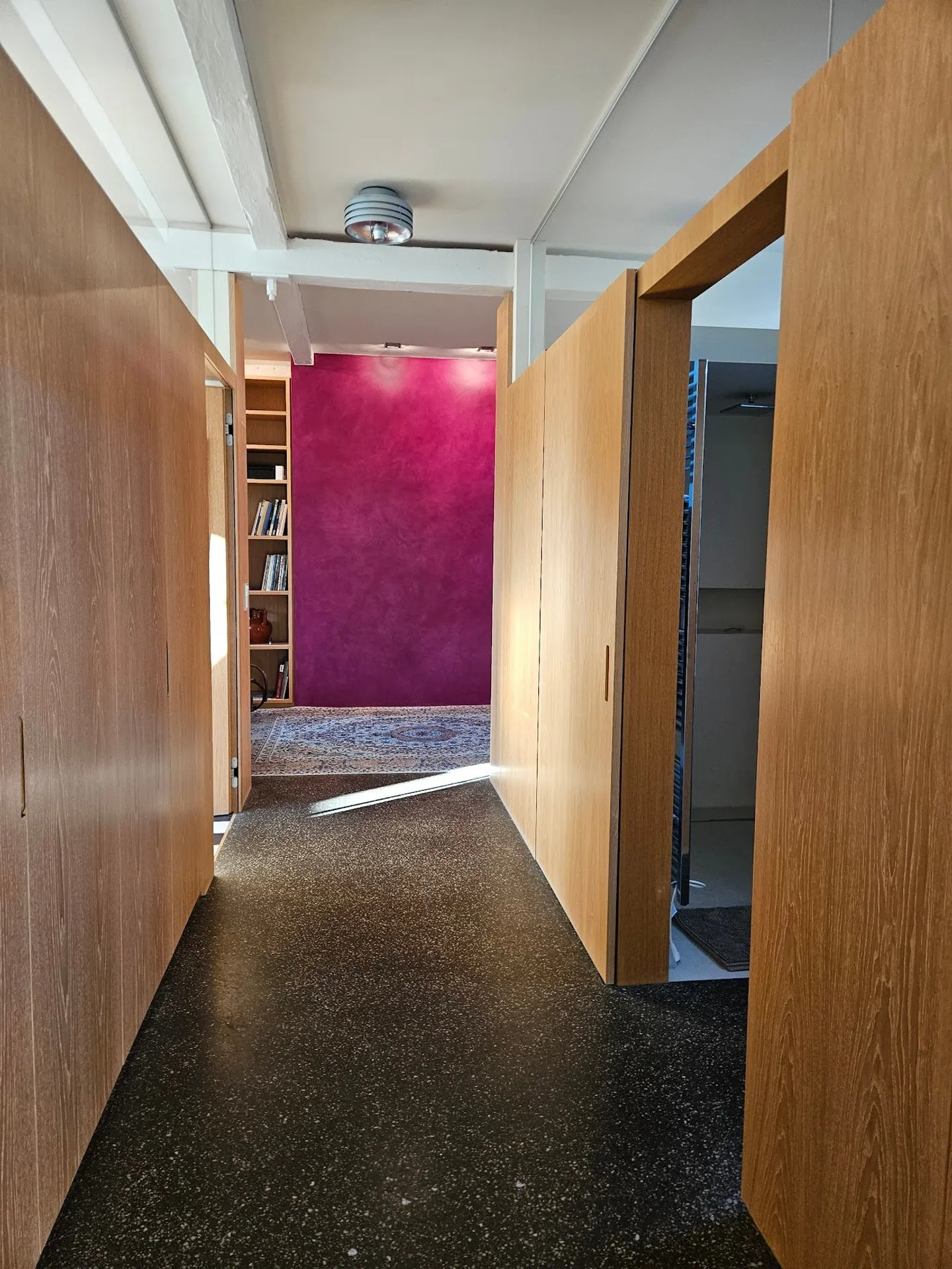 Appartement loft exceptionnel de 5,5 pièces à Wald ZH - Photo 7 sur 13