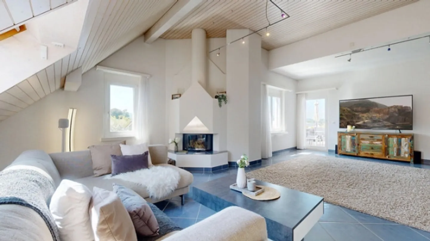 SPACIOUS PENTHOUSE WITH DREAM TERRACE AND LOTS OF PRIVACY - Photo 2 of 8