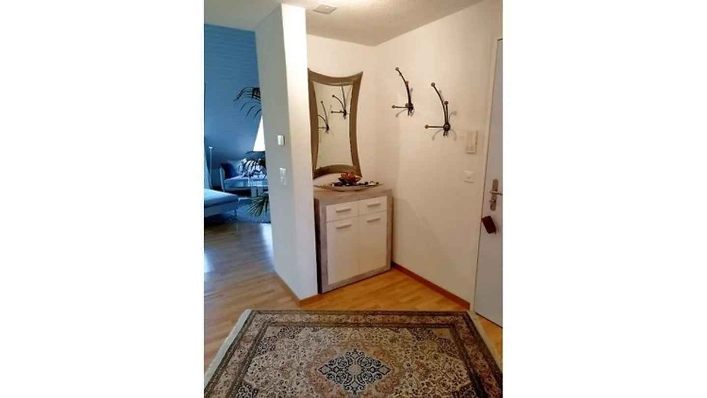 2½ ROOM PENTHOUSE APARTMENT IN AU (ZH), FURNISHED, TEMPORARY - Photo 7 of 10