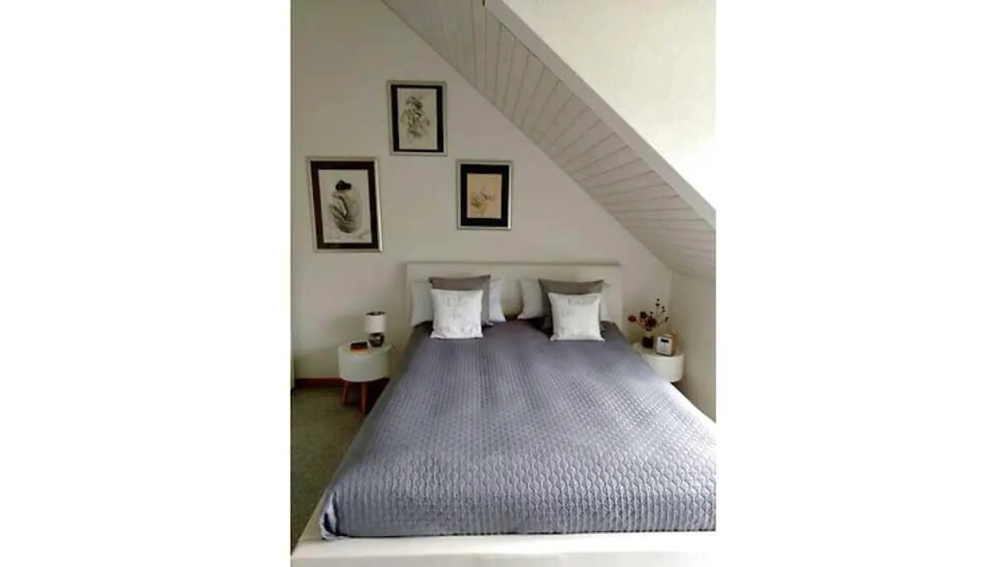 2½ ROOM PENTHOUSE APARTMENT IN AU (ZH), FURNISHED, TEMPORARY - Photo 5 of 10