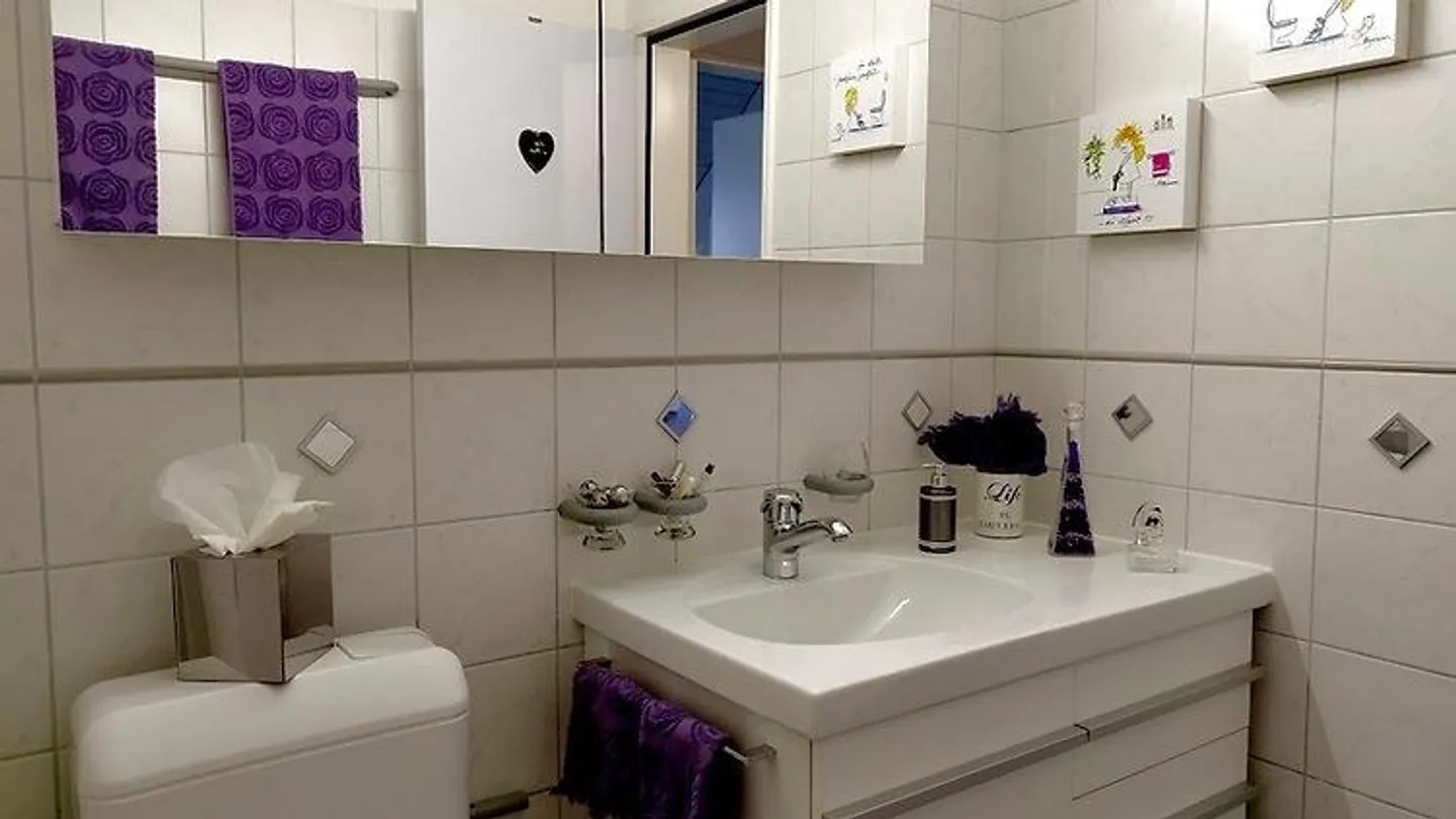 2½ ROOM PENTHOUSE APARTMENT IN AU (ZH), FURNISHED, TEMPORARY - Photo 8 of 10