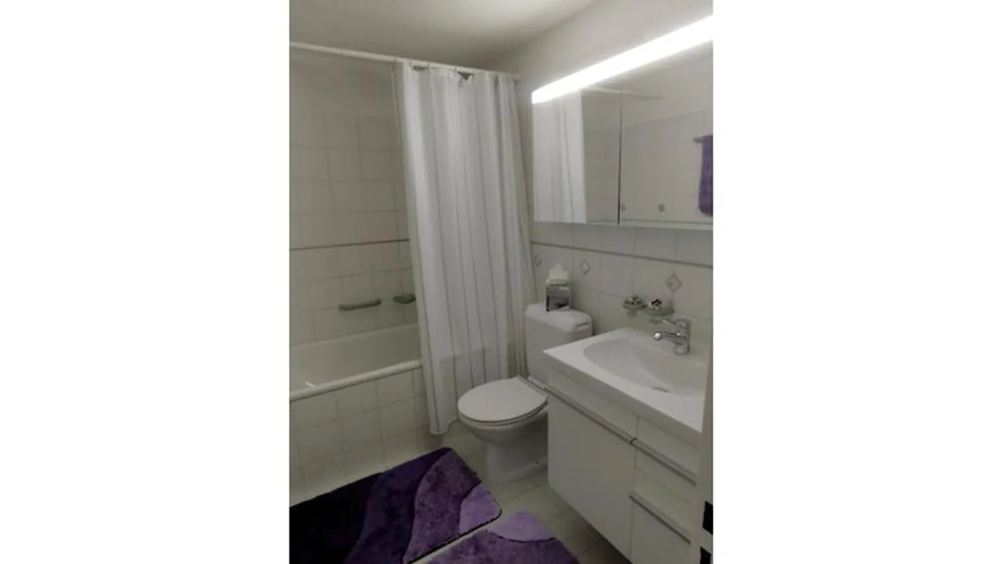 2½ ROOM PENTHOUSE APARTMENT IN AU (ZH), FURNISHED, TEMPORARY - Photo 9 of 10