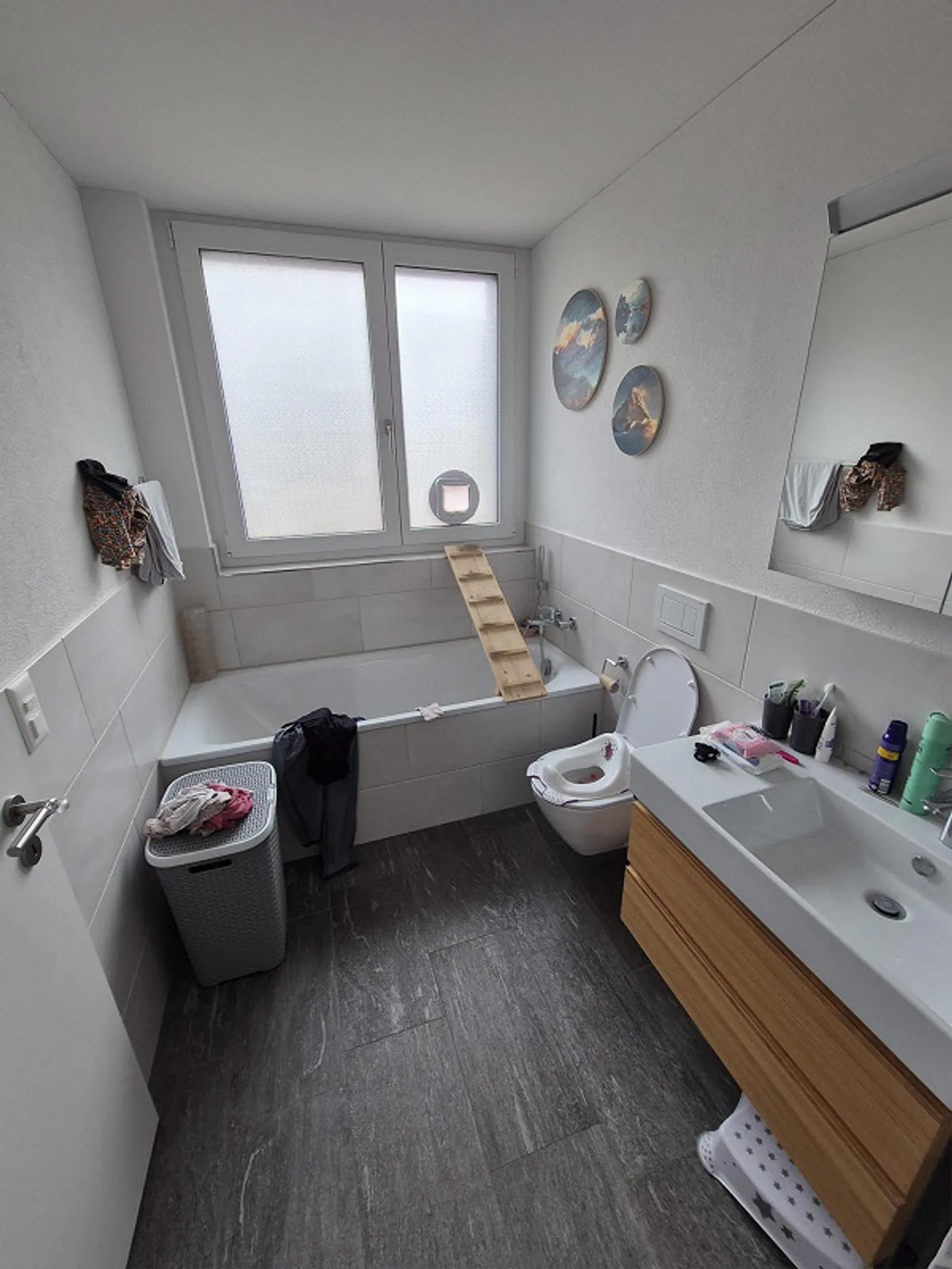 Thurnatur - Appartement à louer dans un standard de propriété - Photo 8 sur 9