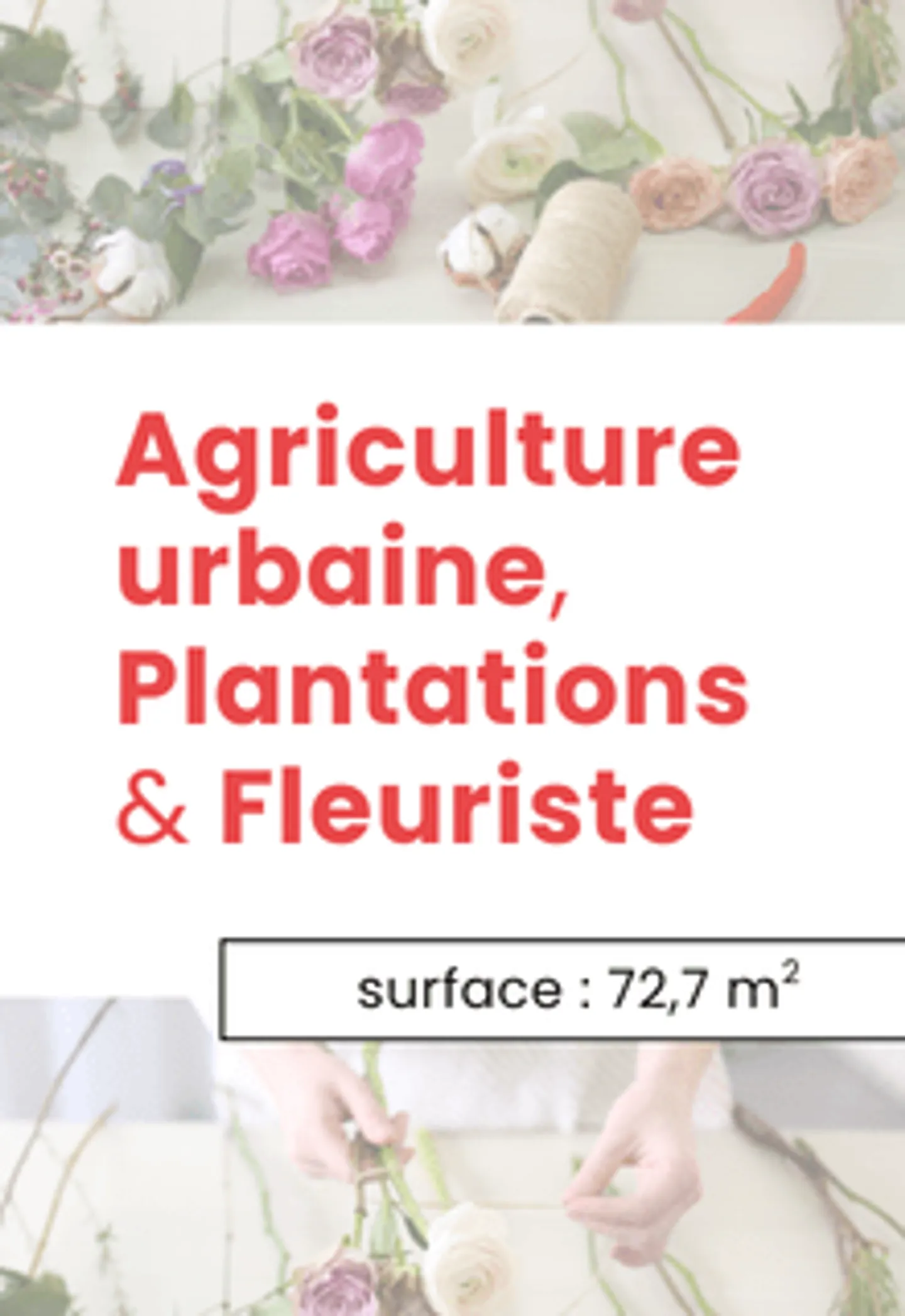 Arcade Agriculture Urbaine - Photo 1 sur 1