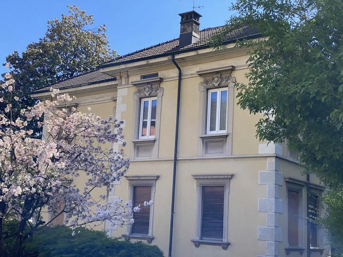 Villa Liberty in un bellissimo parco - Foto 13 di 13
