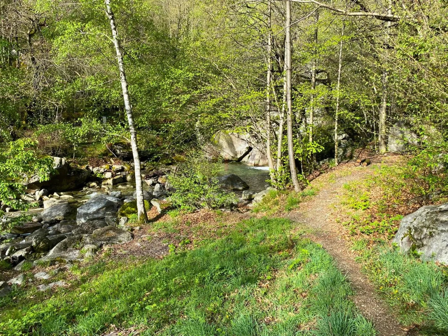 Wunderschönes Grundstück in Giornico - Foto 6 von 10