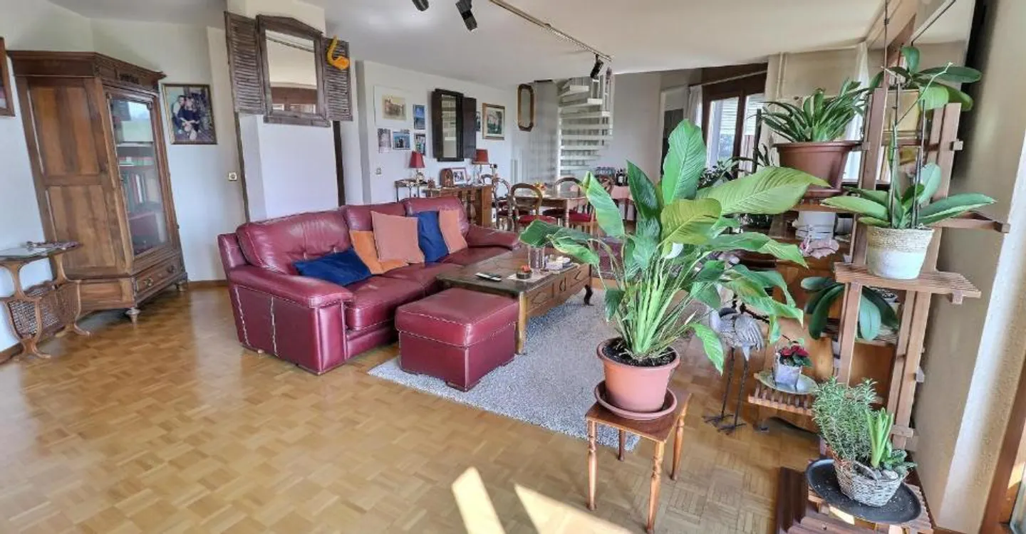 Magnifique duplex en attique en viager occupé sans rente - Photo 3 of 12