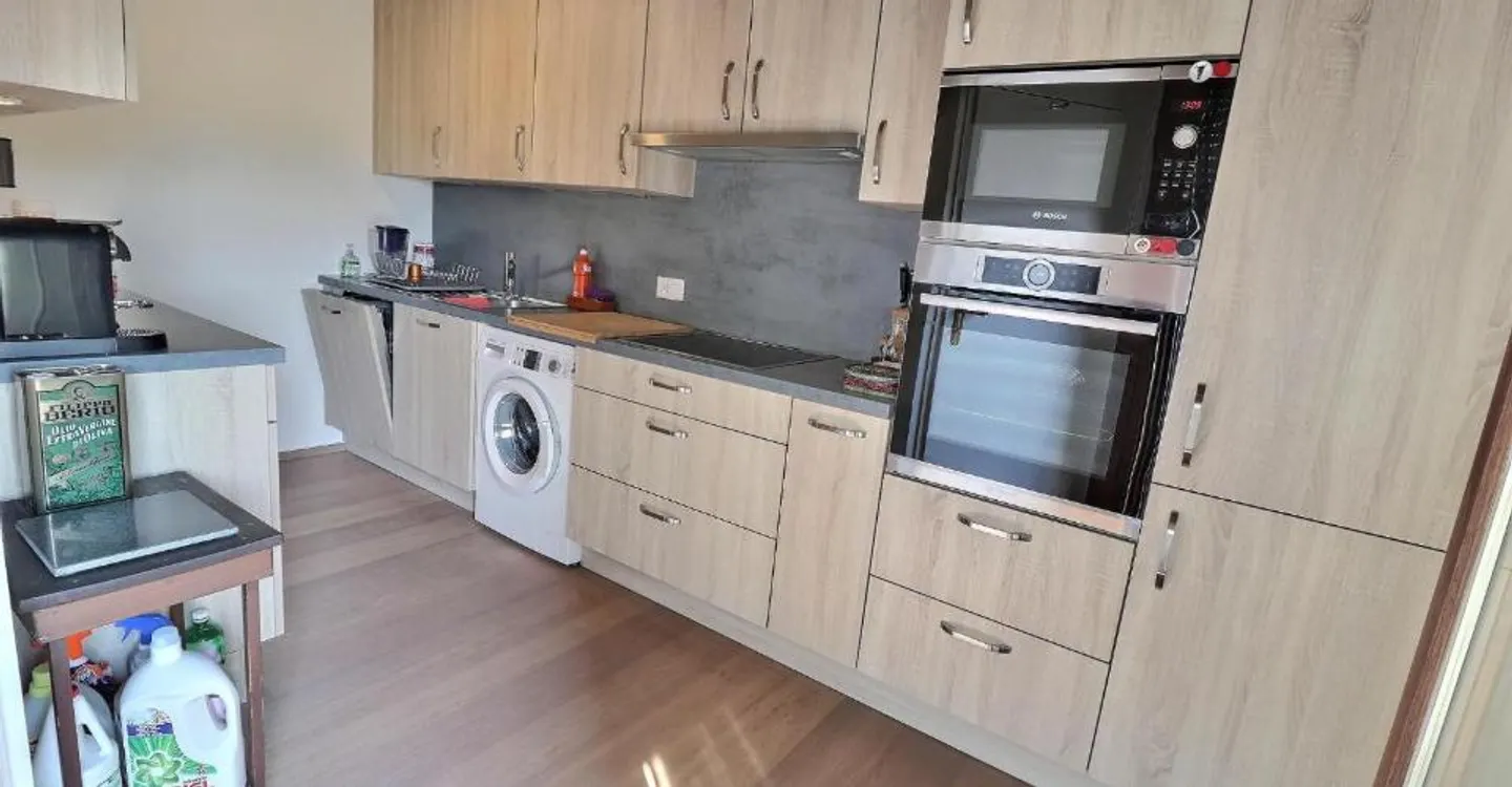 Magnifique duplex en attique en viager occupé sans rente - Photo 6 of 12