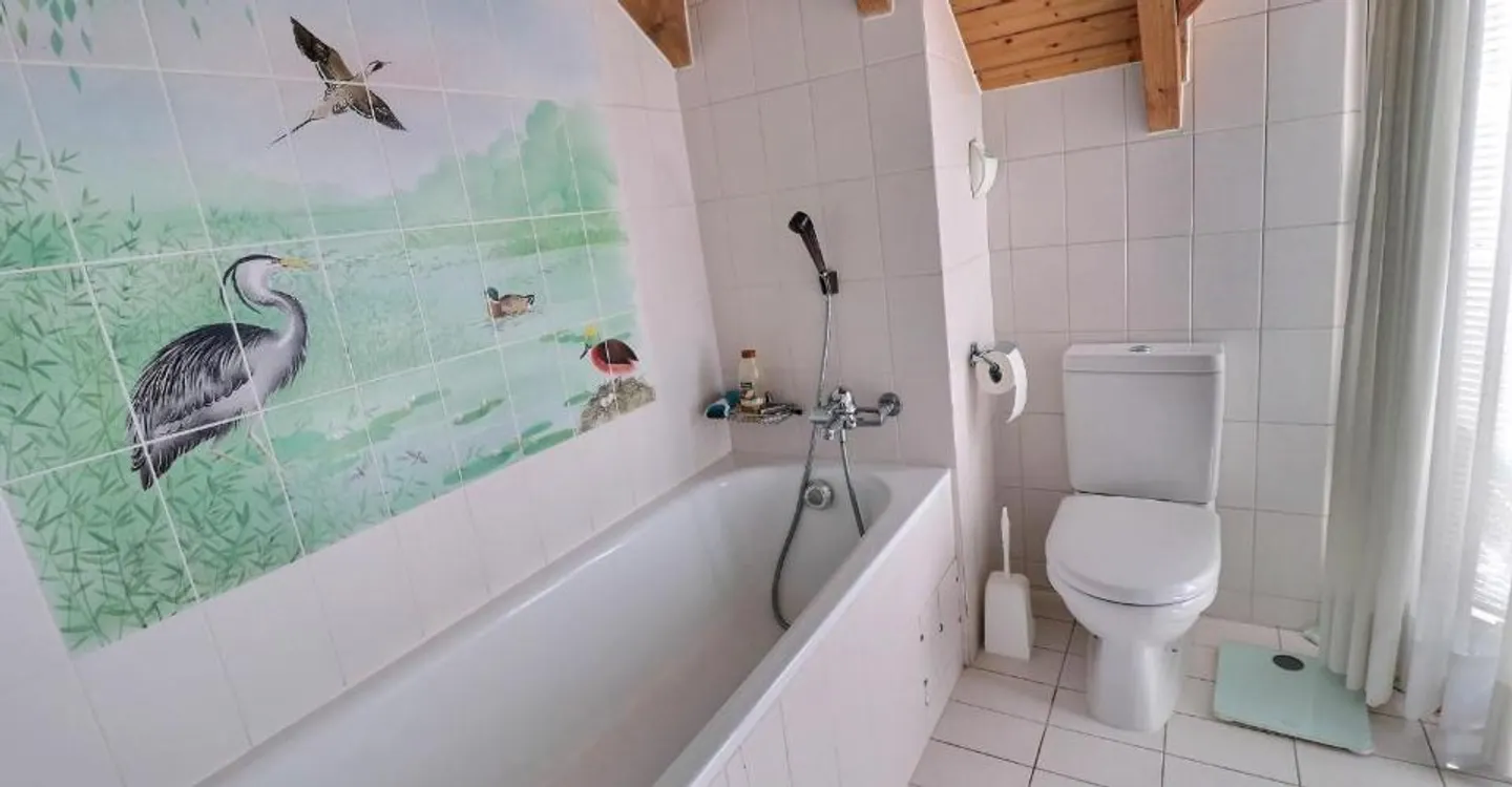 Magnifique duplex en attique en viager occupé sans rente - Photo 10 of 12