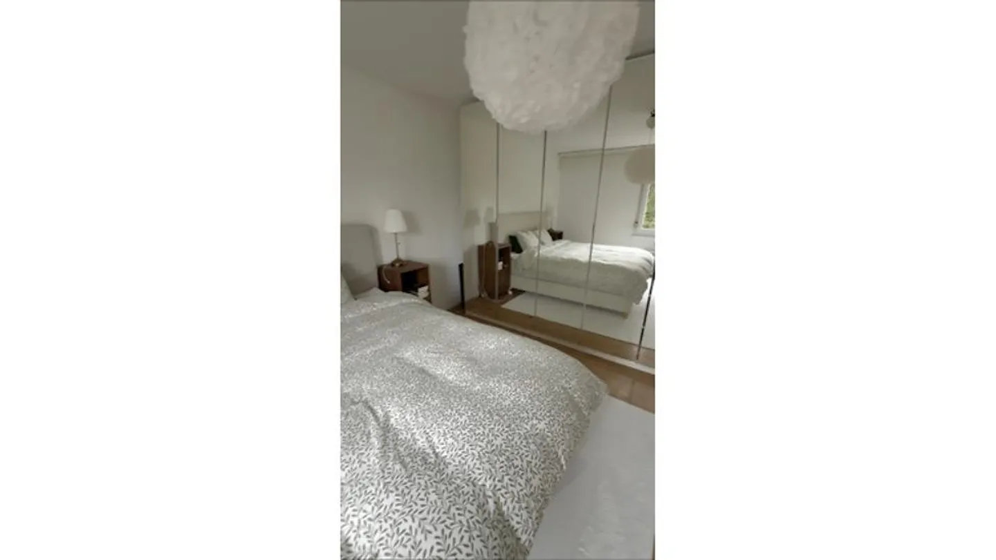 3 ROOM APARTMENT IN MÖNCHALTORF (ZH), FURNISHED, TEMPORARY - Photo 3 of 7