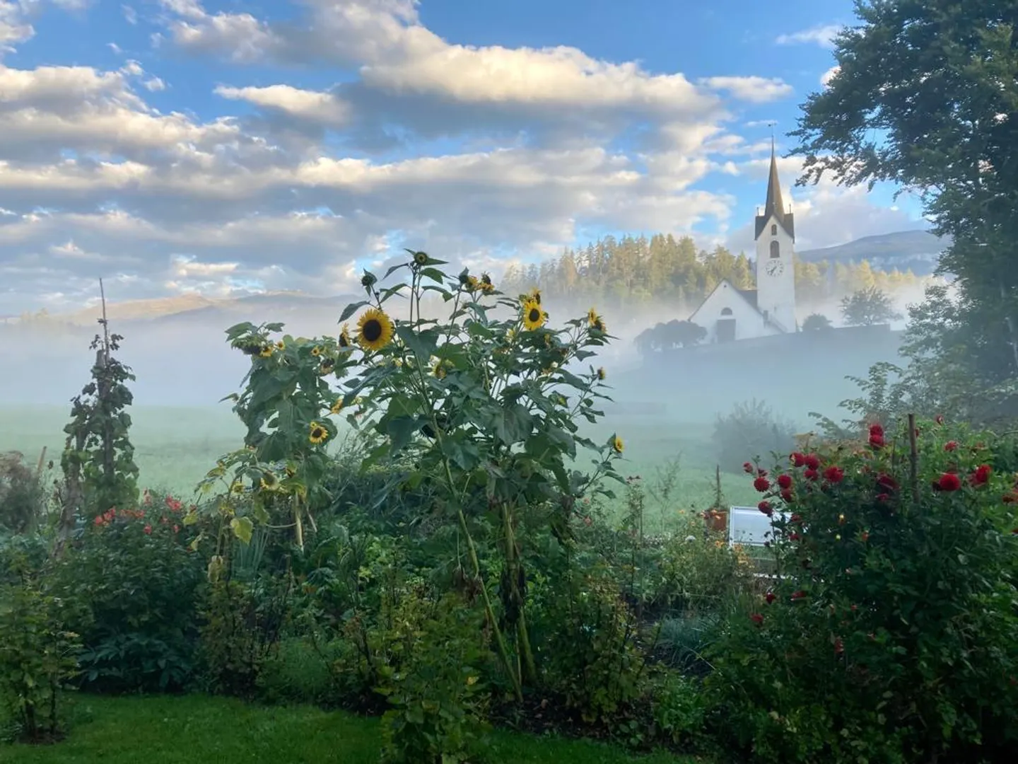 Appartement de jardin 4,5 pièces avec belle vue à Versam - Photo 2 sur 10