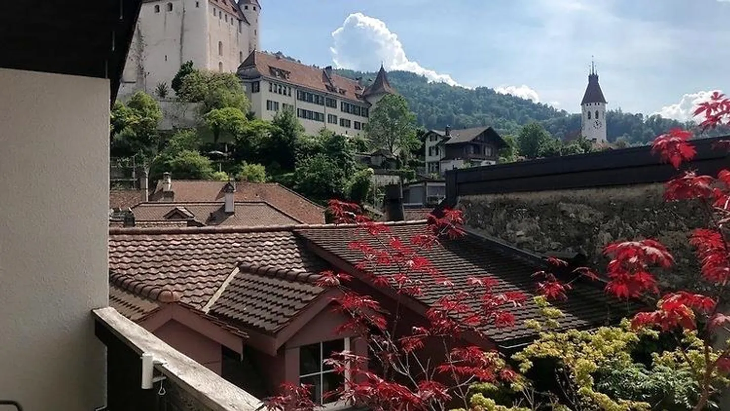 Sonnige Loftwohnung in Thun - Foto 14 von 15