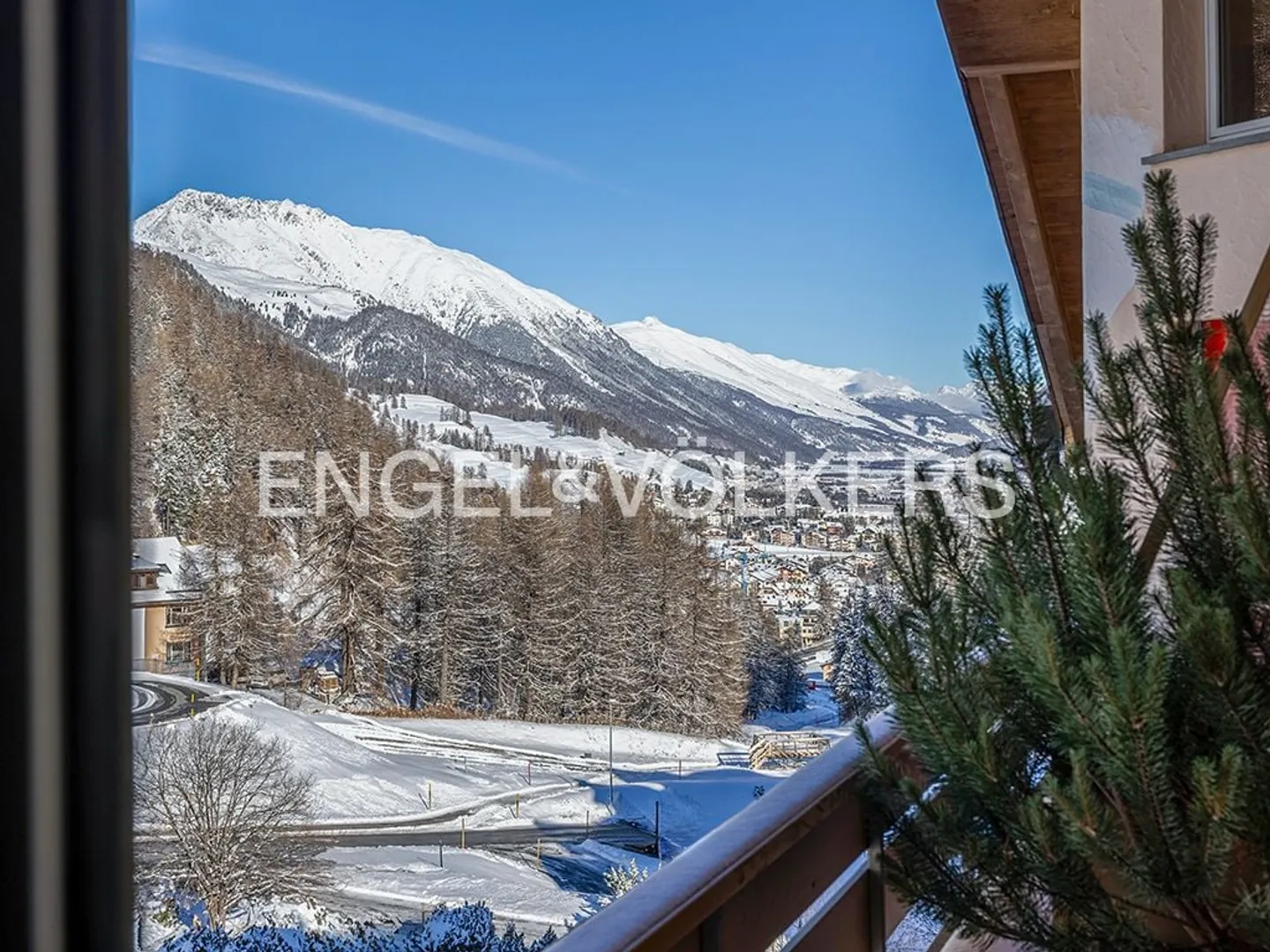 The Marmot - Senses of Nature - Photo 3 of 10