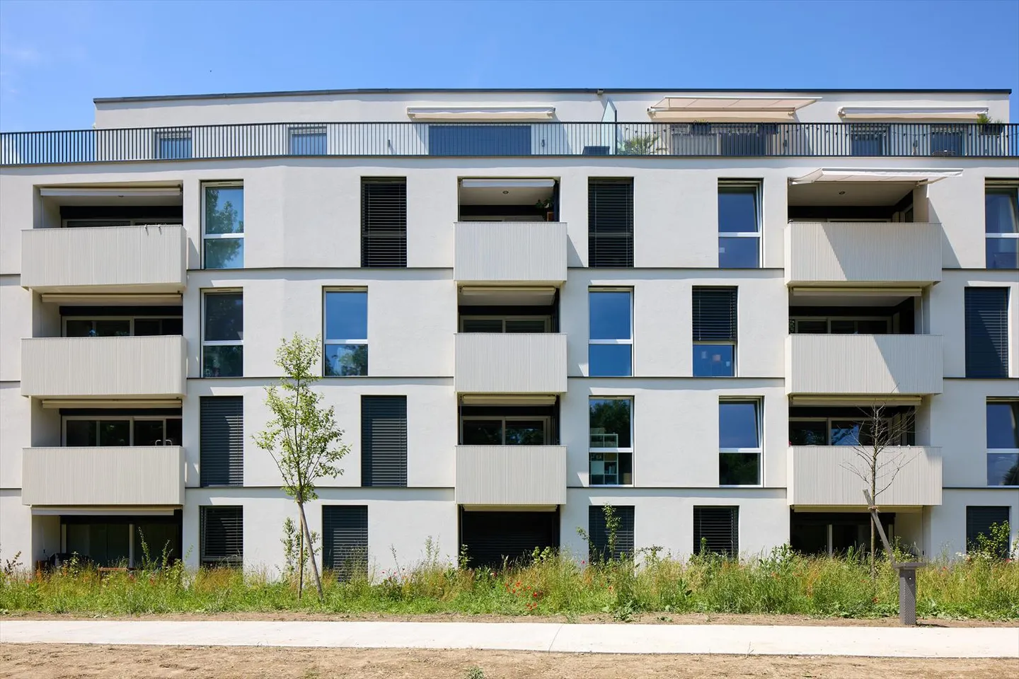 2,5-Zimmer-Wohnung - Foto 3 von 9