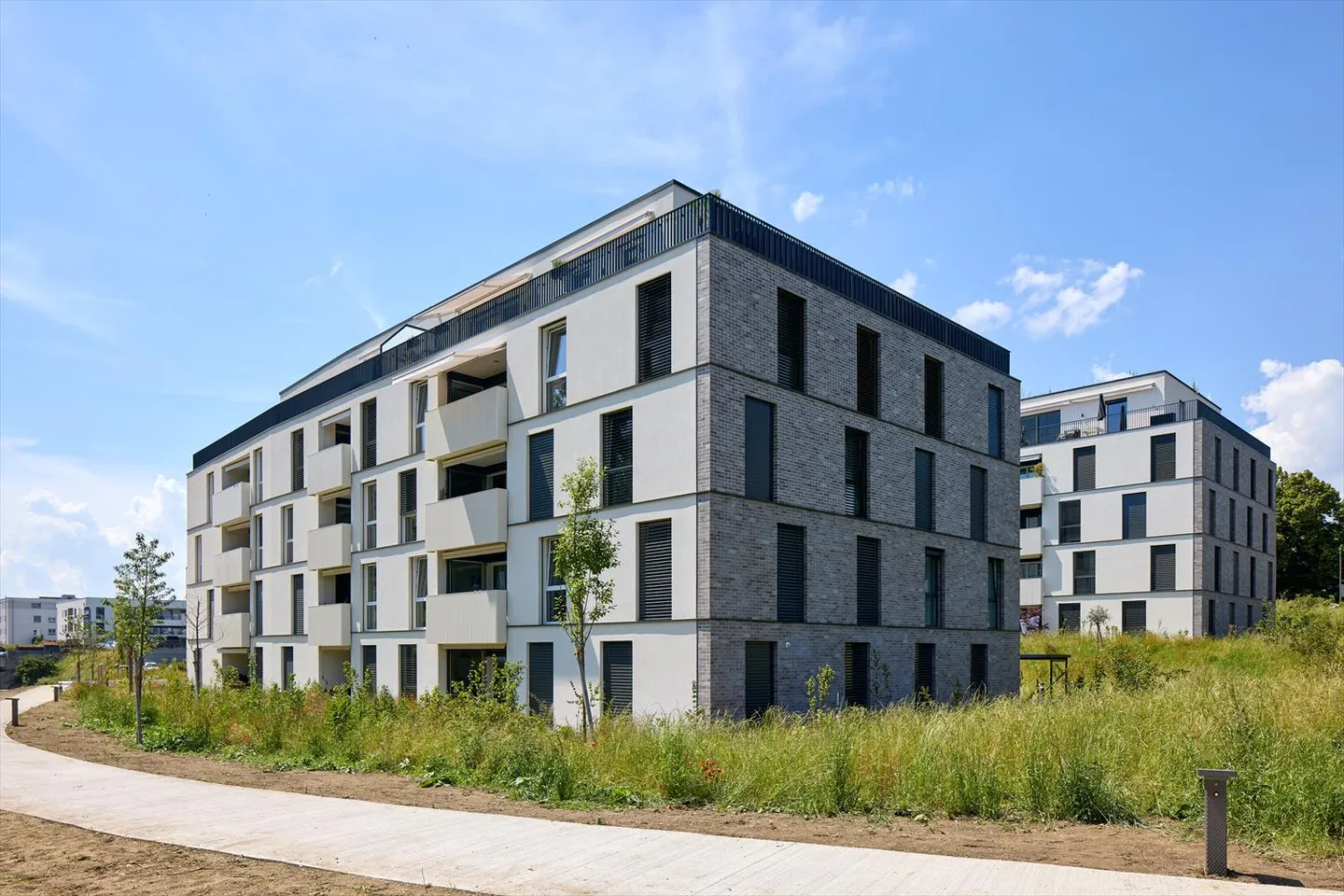 2,5-Zimmer-Wohnung - Foto 5 von 9