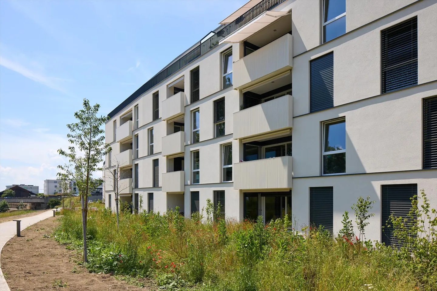 2,5-Zimmer-Wohnung - Foto 6 von 9