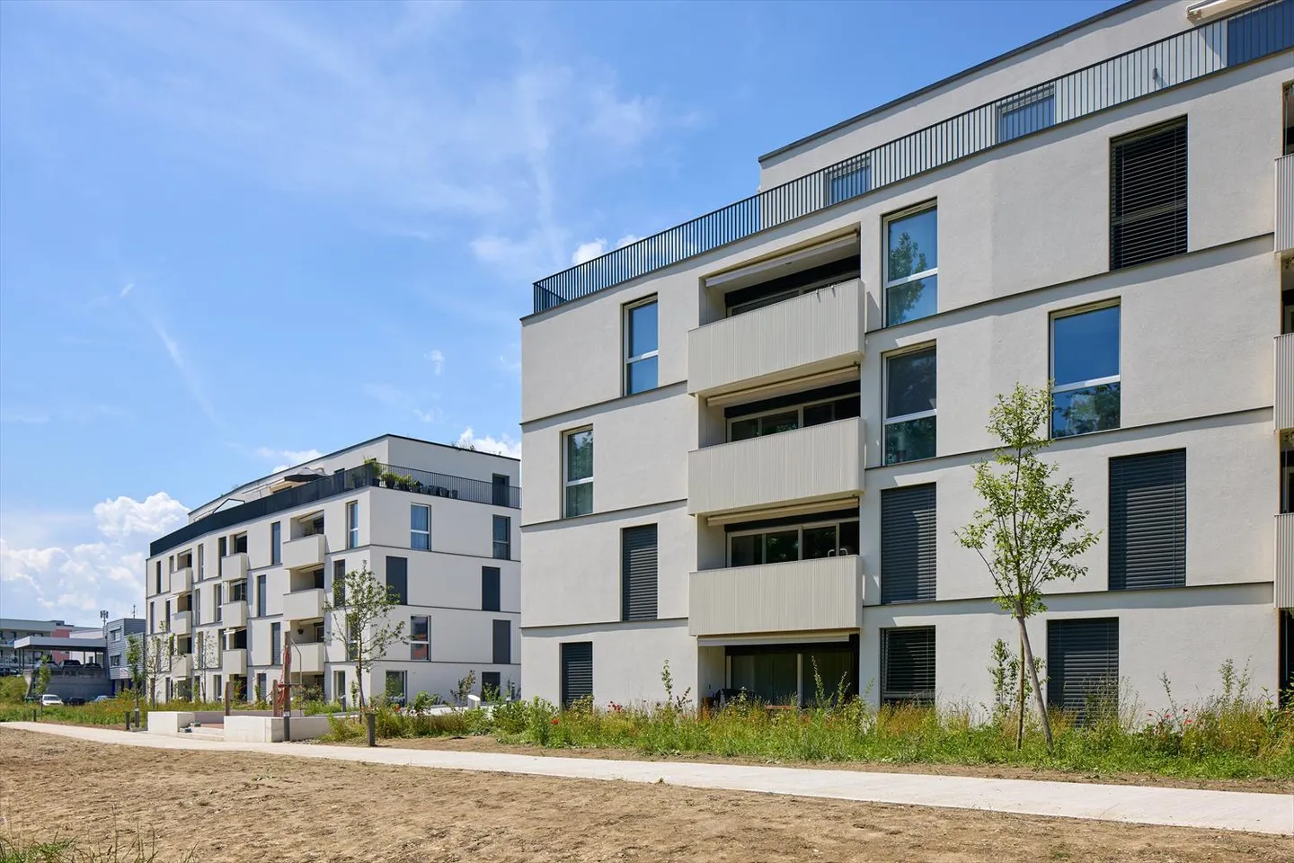 2,5-Zimmer-Wohnung - Foto 4 von 9