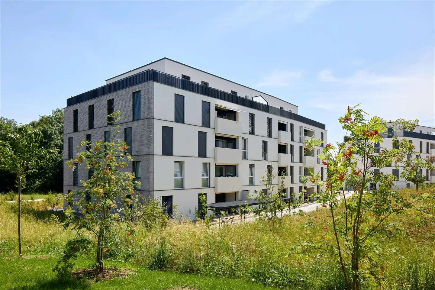 2,5-Zimmer-Wohnung - Foto 9 von 9