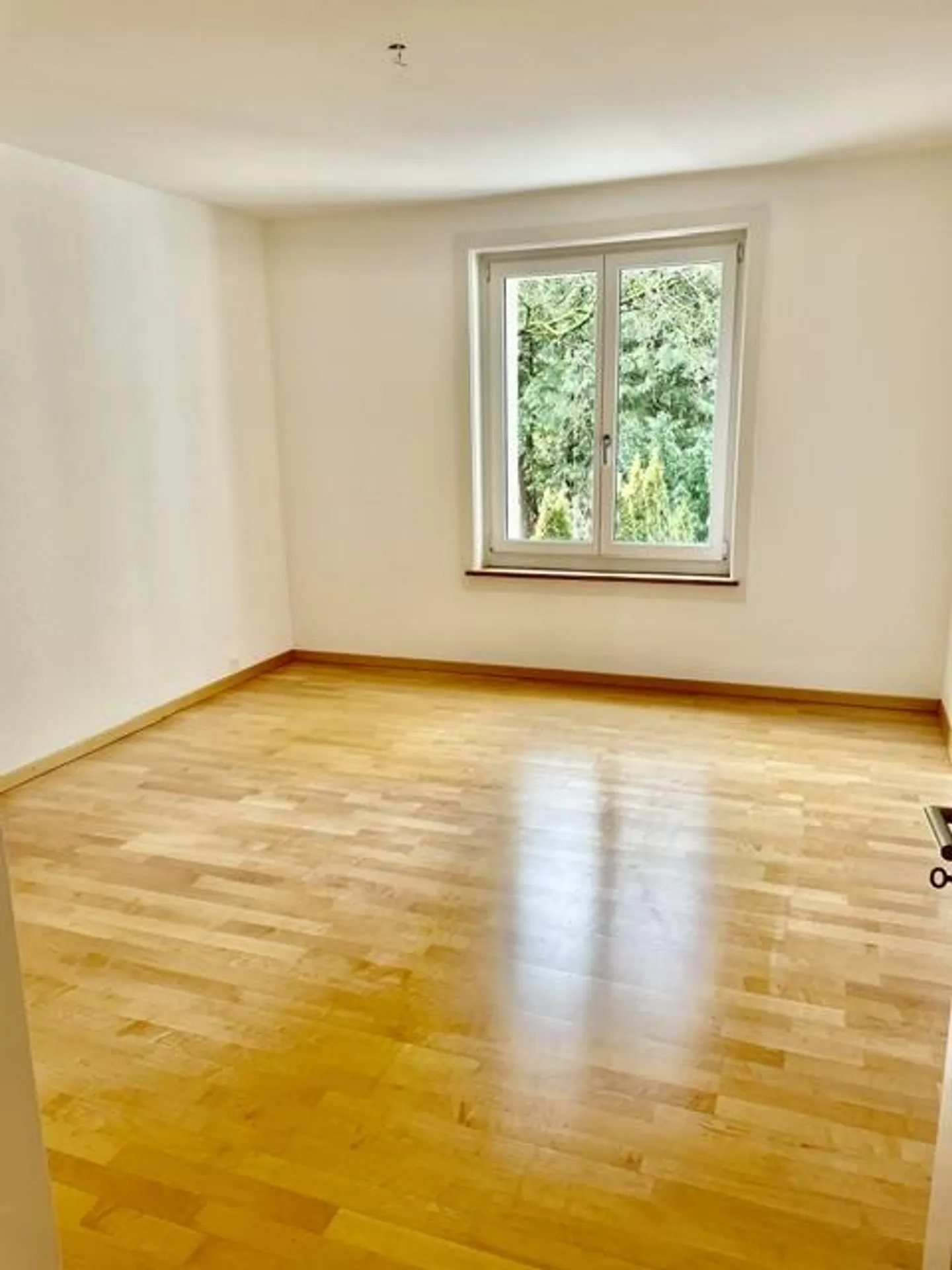 Appartement 2,5 pièces, Kirchenfeld, 3006 Berne, ensoleillé, central, emplacement calme - Photo 5 sur 9