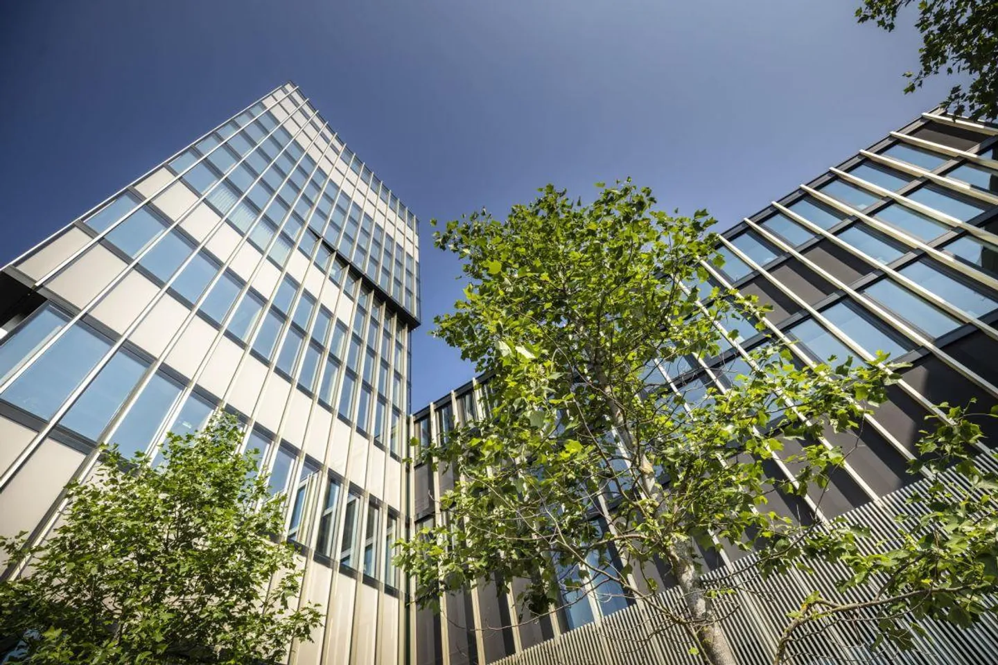 Garden High-Rise Aglaya, Suurstoffi Area in Rotkreuz: A Workplace that Inspires - Photo 10 of 10