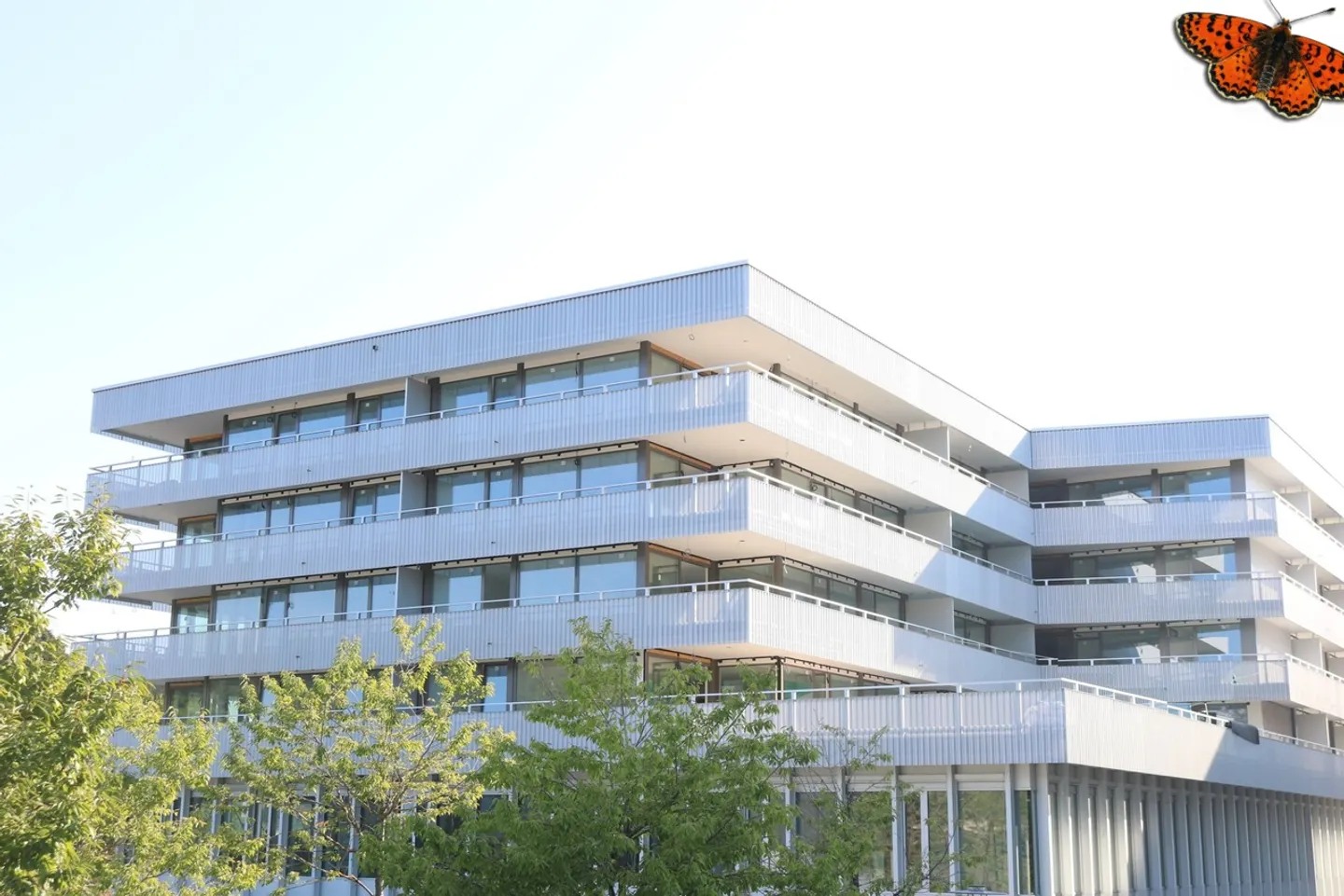 Appartement Moderne avec Balcon - Photo 1 sur 11
