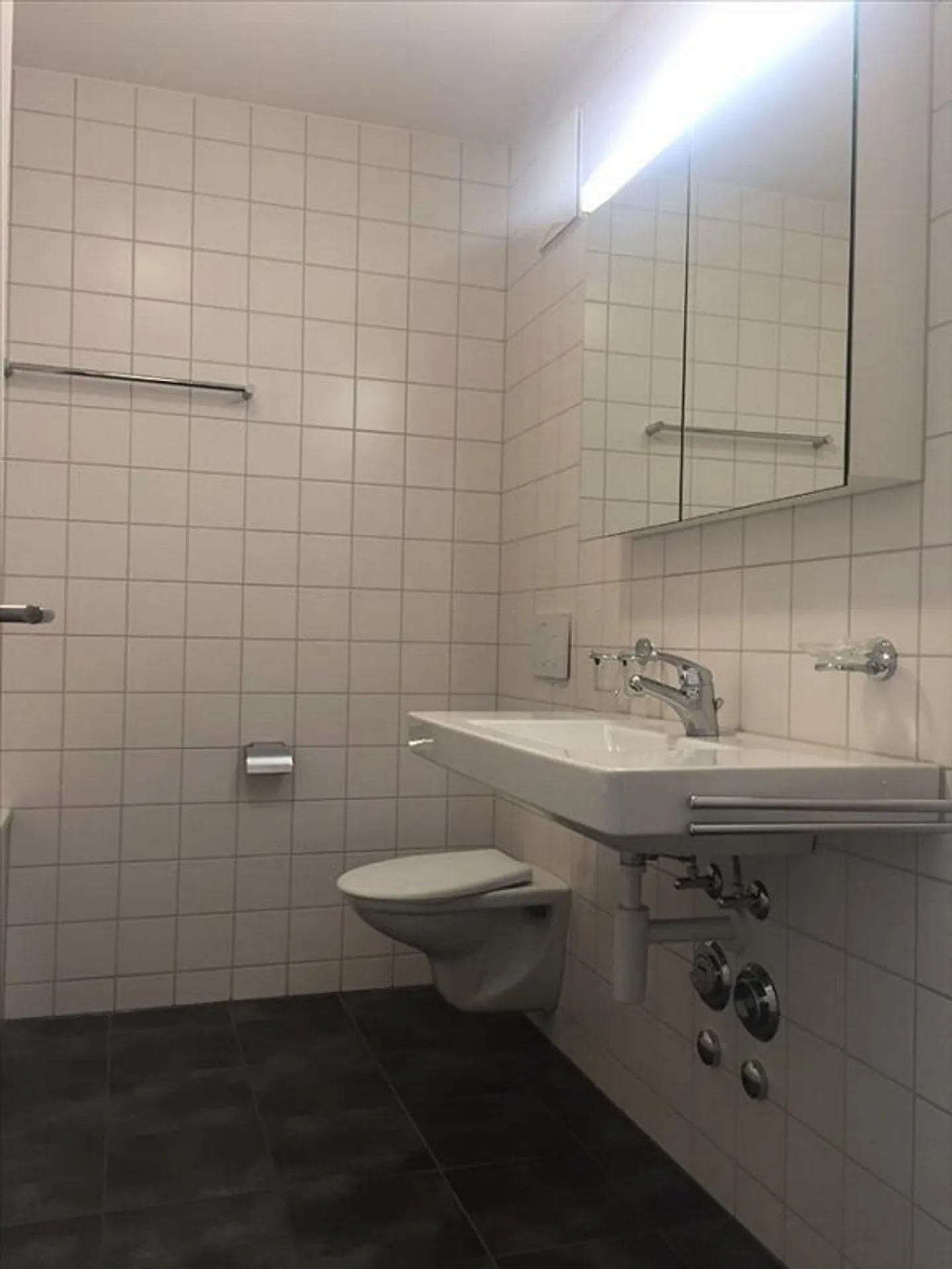 Am Rande der Plessur - Foto 4 von 10