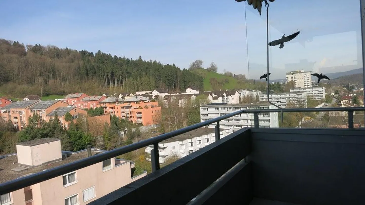 3.5 Room Apartment with a View in Spreitenbach for Rent - Photo 8 of 8