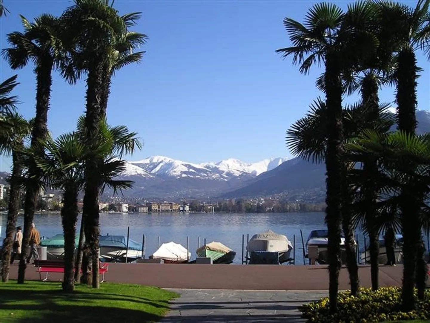 Appartamento in affitto - Foto 1 di 3