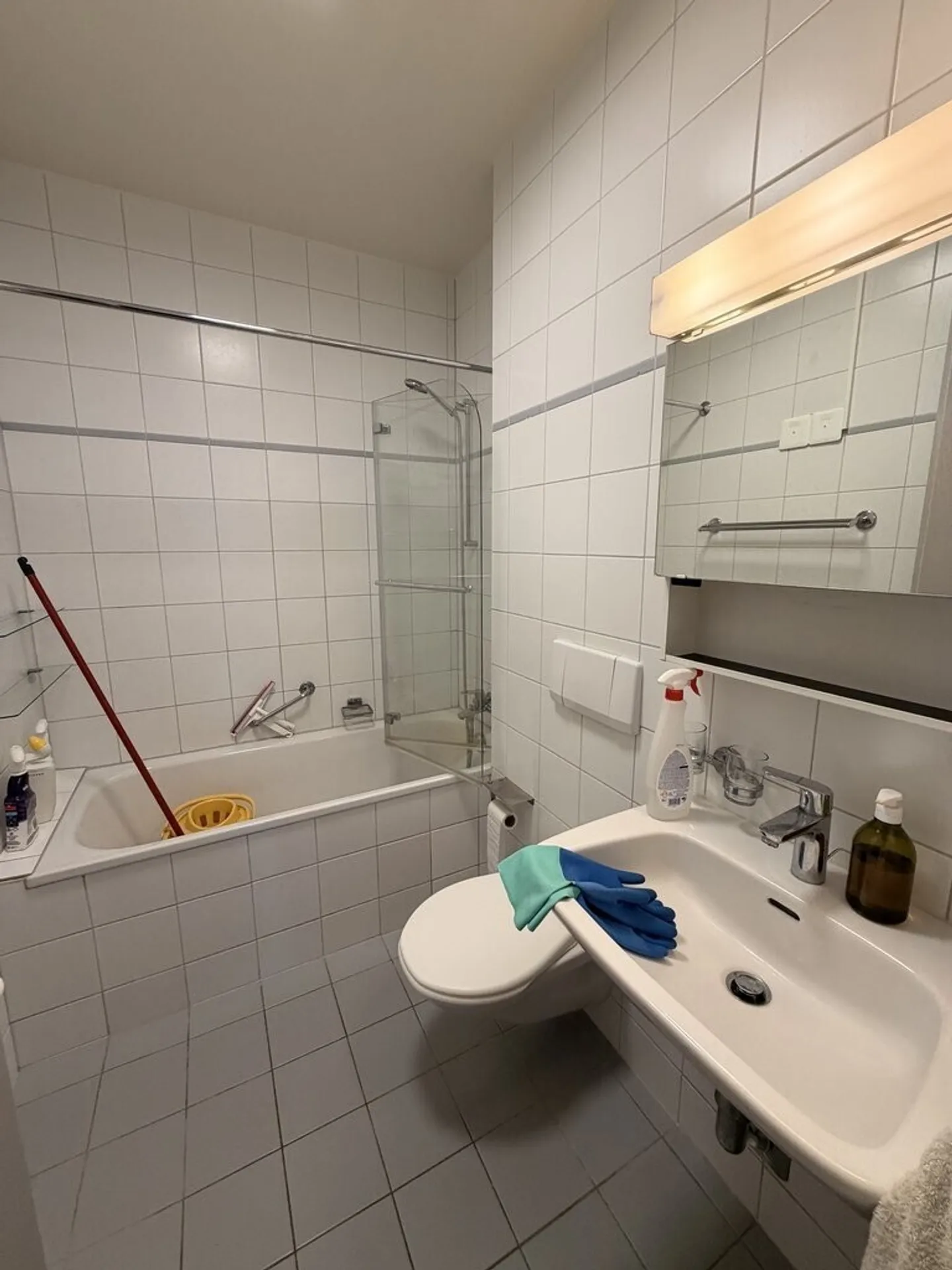 Spacious 3.5 rooms near Lake Geneva - Photo 6 of 8