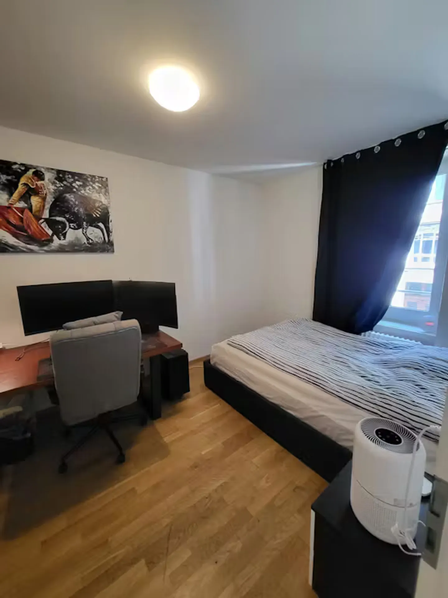 Charming Apartment in Zürich - Photo 5 of 8