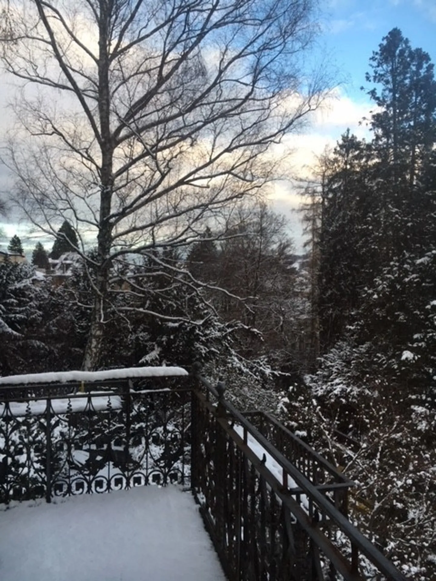 Great 2-room Studio in villa - 4 min by foot from mainstation St.Gallen - Photo 3 of 13