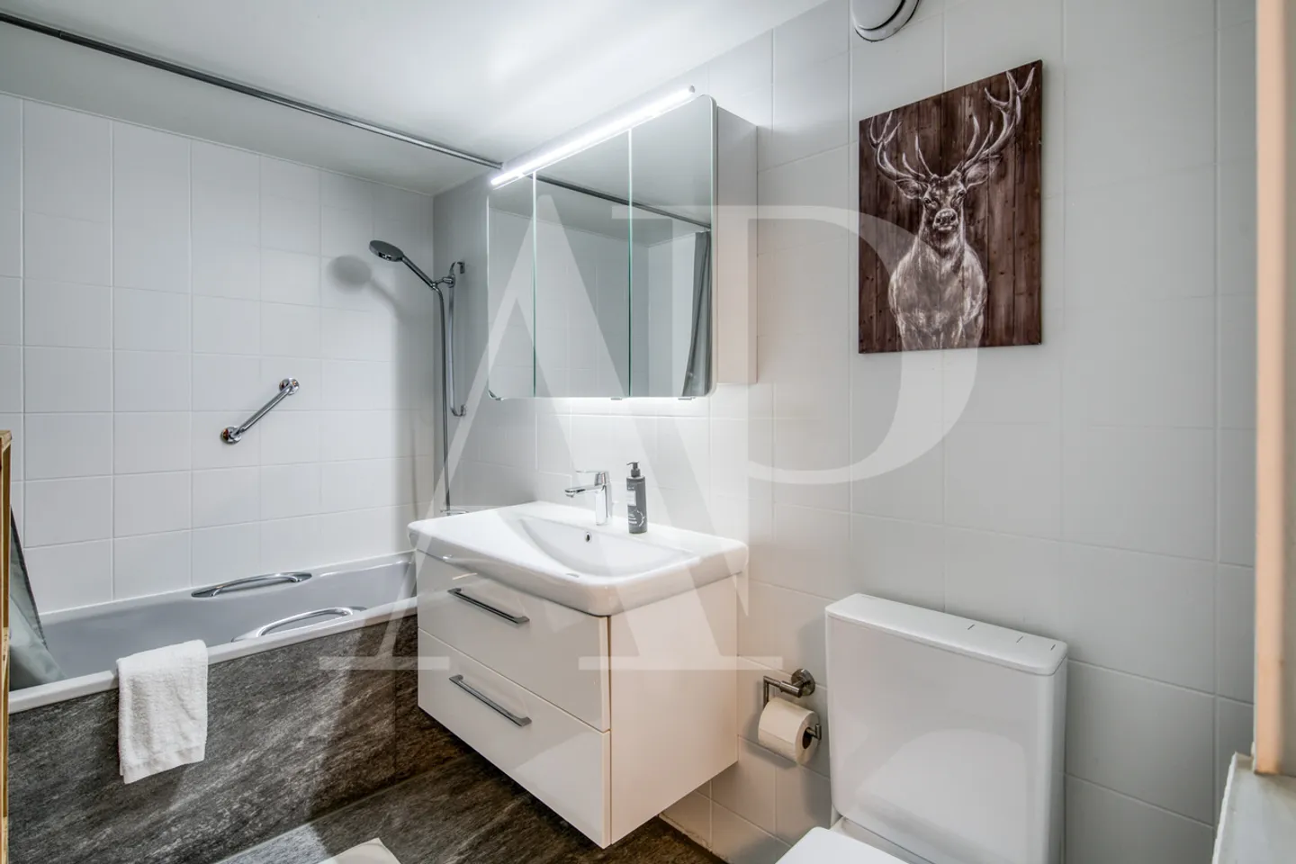 Appartement à louer à l'année à Champéry - Photo 14 sur 14