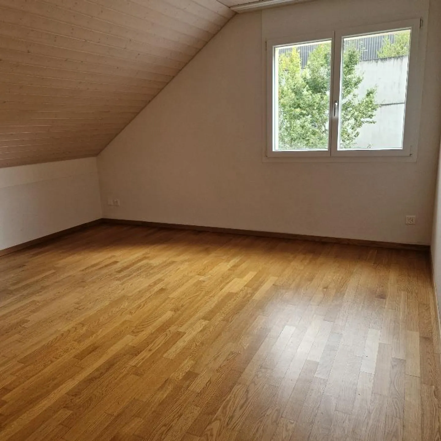 3.5 Room Attic Apartment - Photo 6 of 14