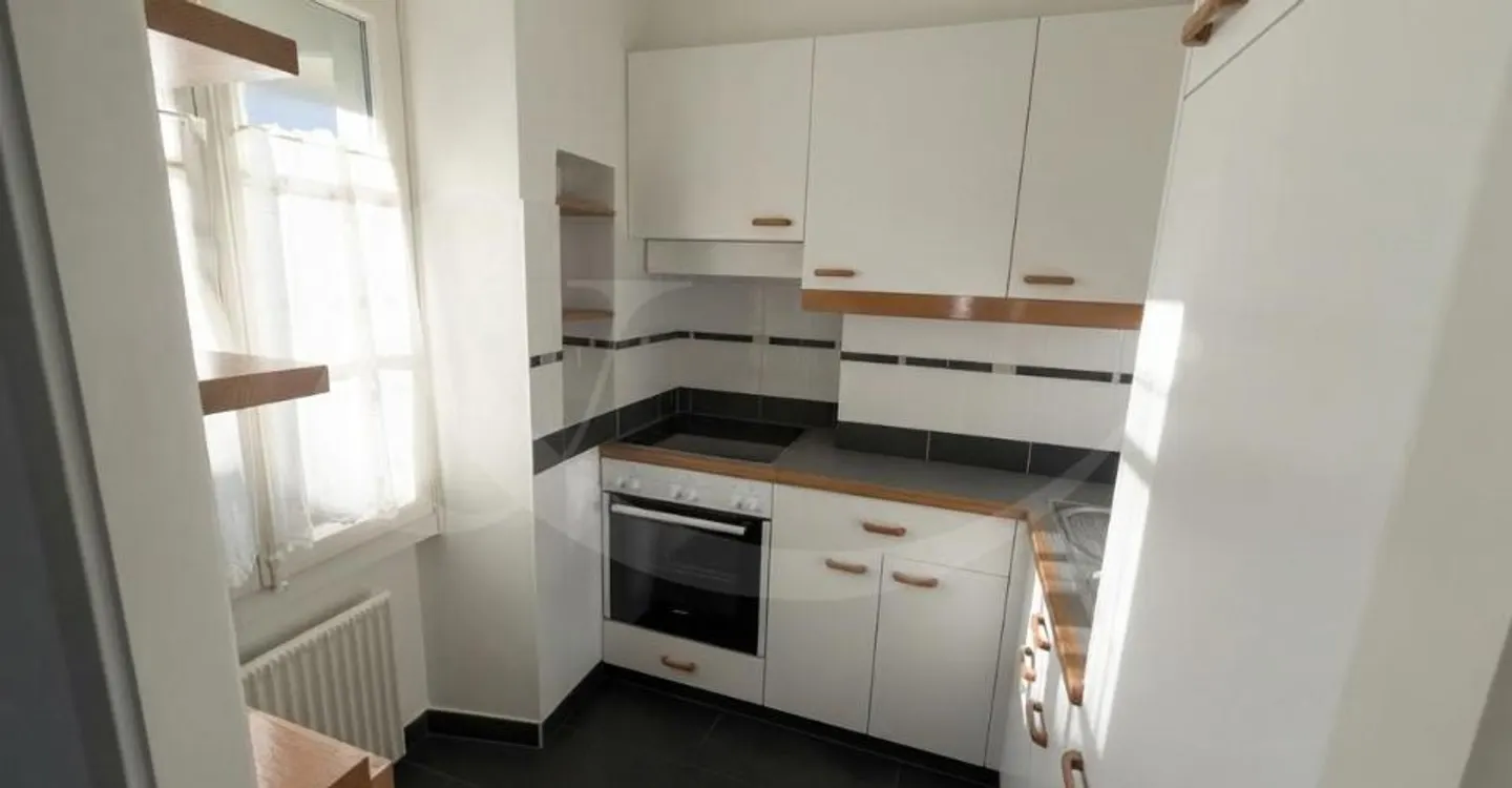 27 Ancienne Street, Charming 2.5 Room Apartment in Carouge - Photo 3 of 5