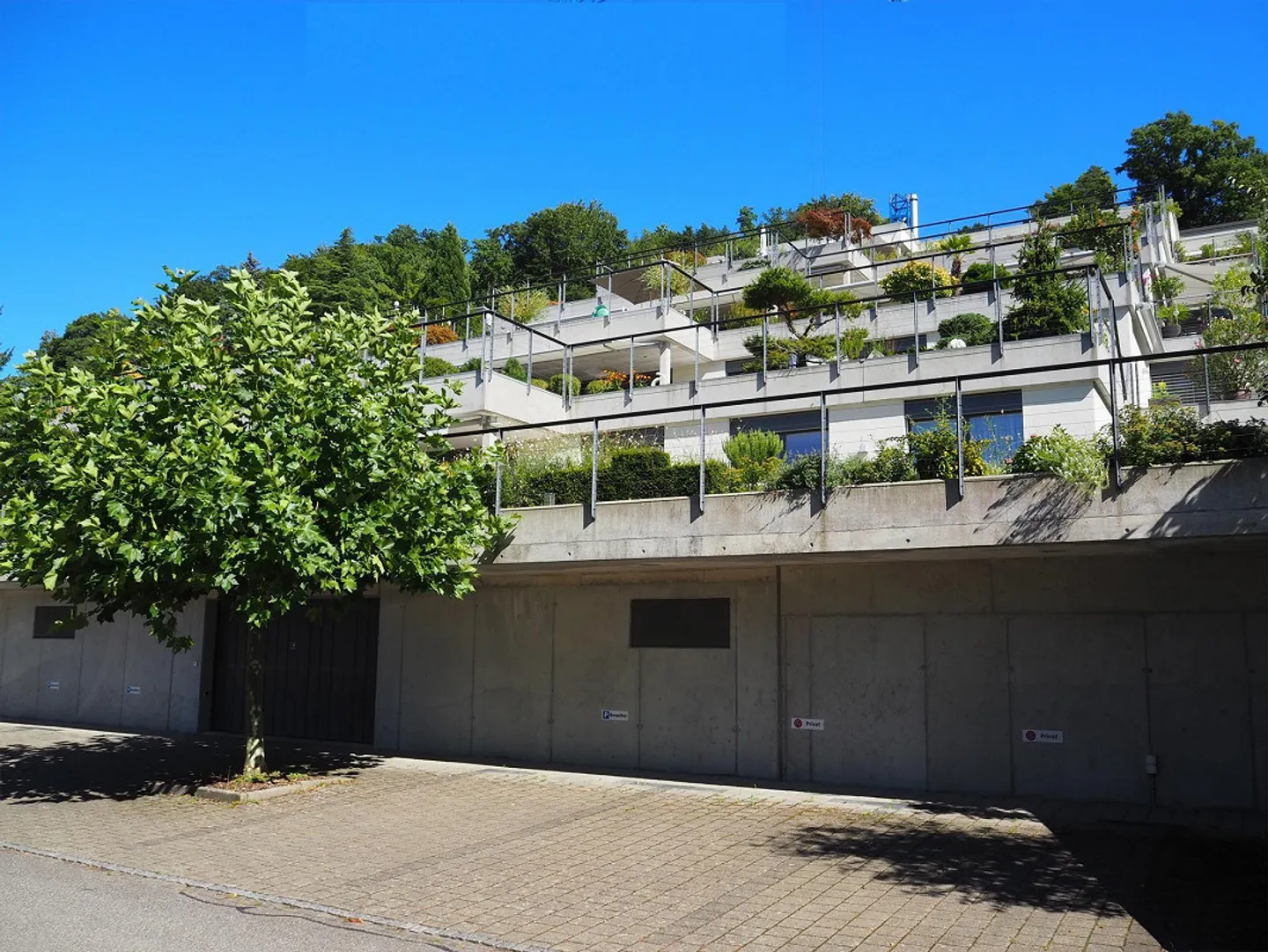 Geräumige Terrassenwohnung mit Aussicht - Foto 13 von 16