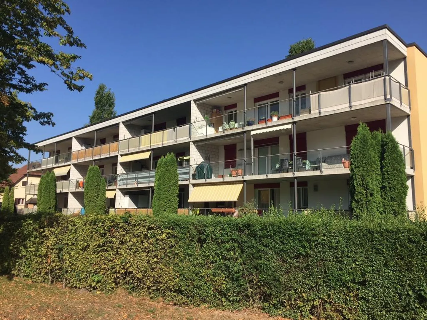 Bright apartment in quiet Aarepark - Photo 1 of 7