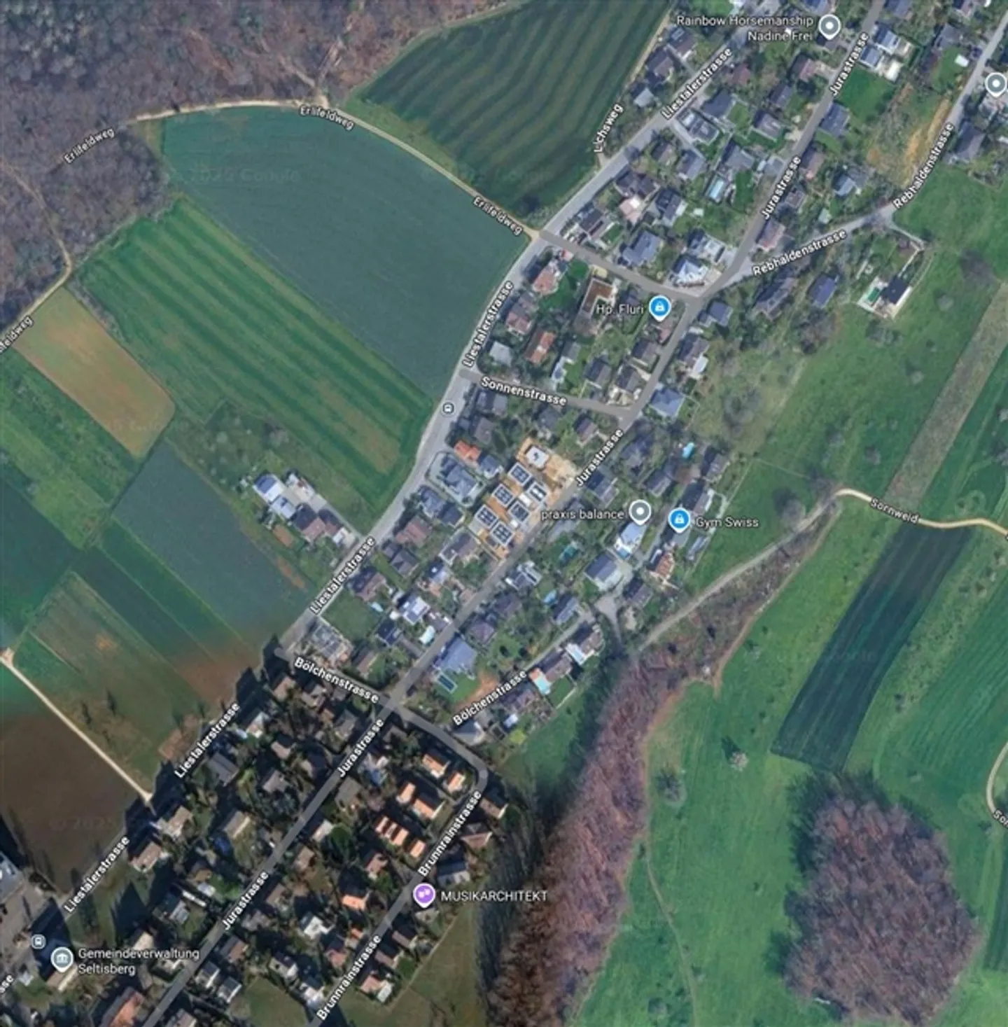 At Home in the Green and Yet Close to the City - Photo 14 of 15