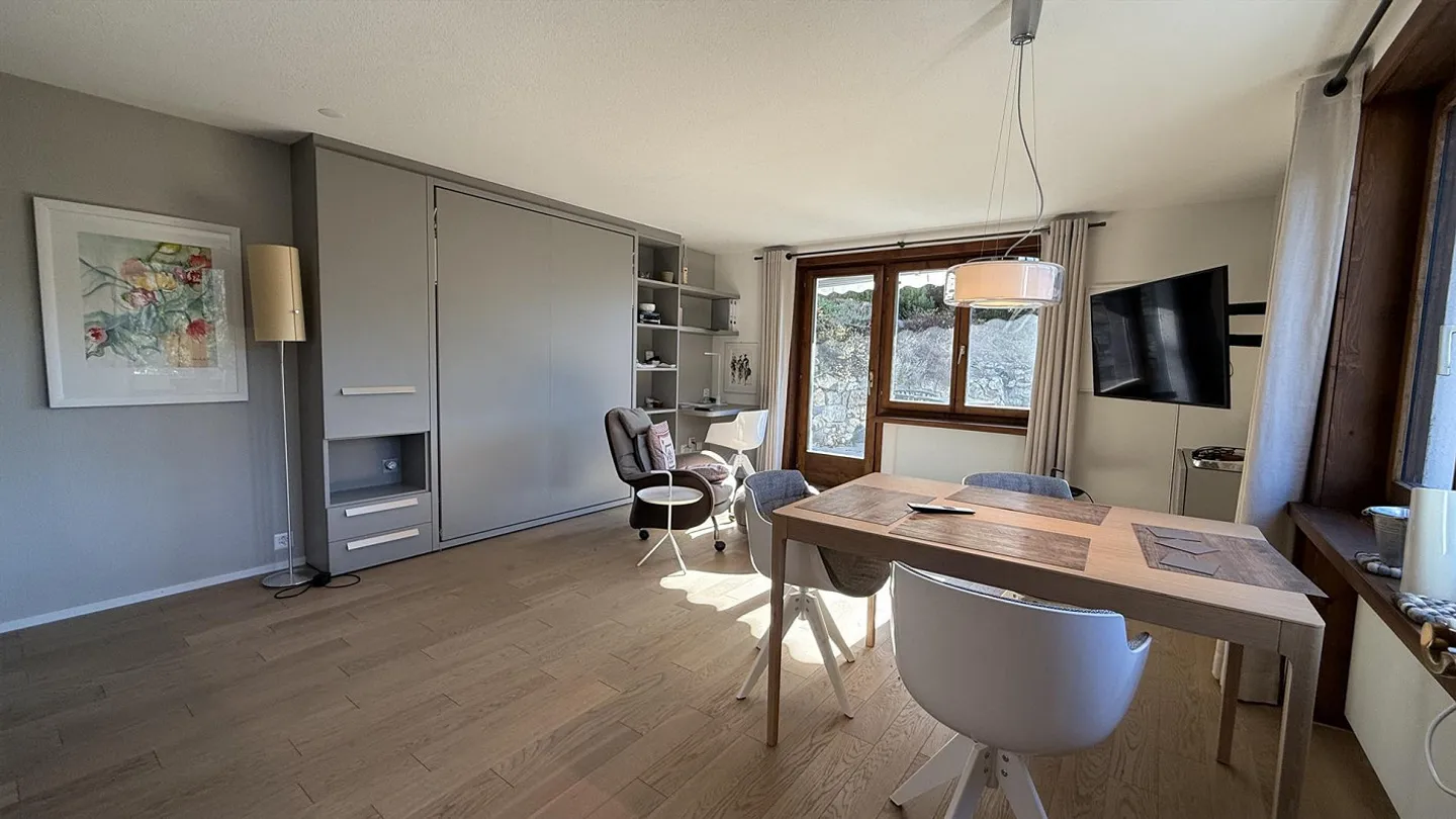 APPARTAMENTO RISTRUTTURATO A LENZERHEIDE CON BELLA AREA GIARDINO - Foto 11 di 15