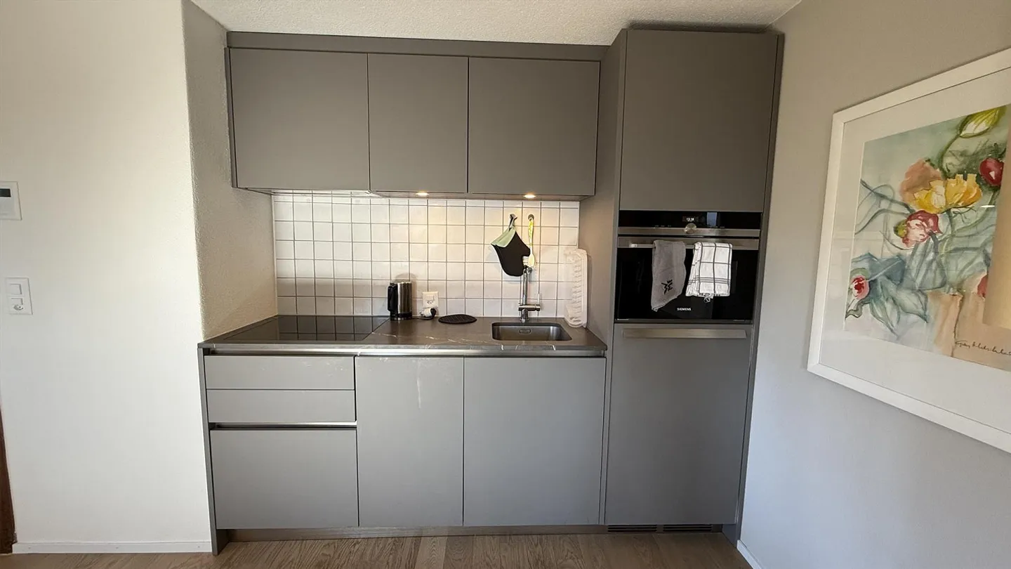 APPARTAMENTO RISTRUTTURATO A LENZERHEIDE CON BELLA AREA GIARDINO - Foto 12 di 15