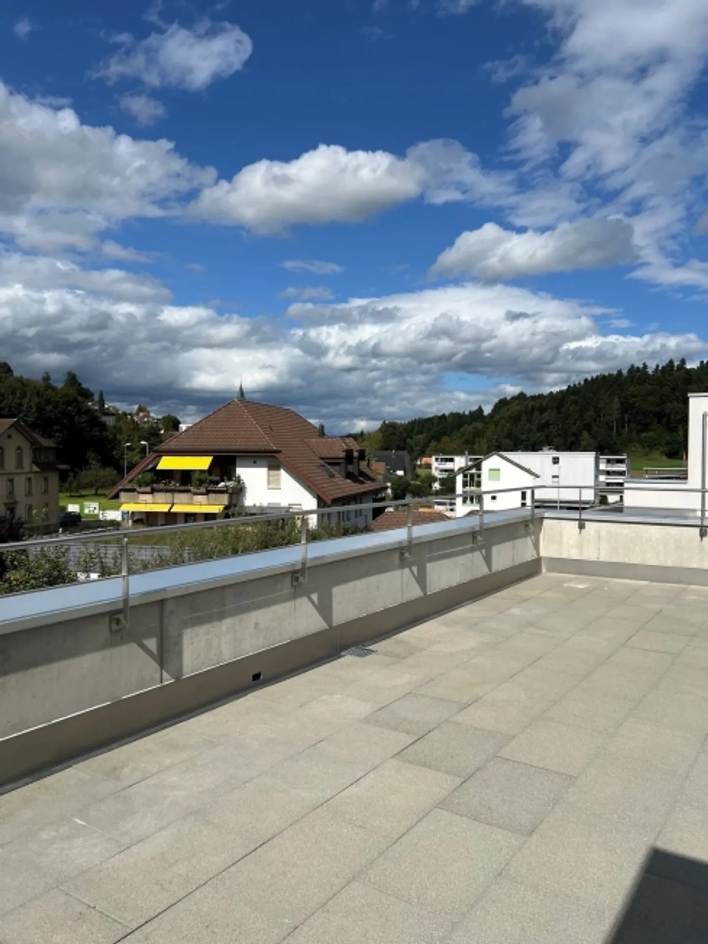 Living with a breathtaking view in the idyllic region of Zofingen - Photo 8 of 11