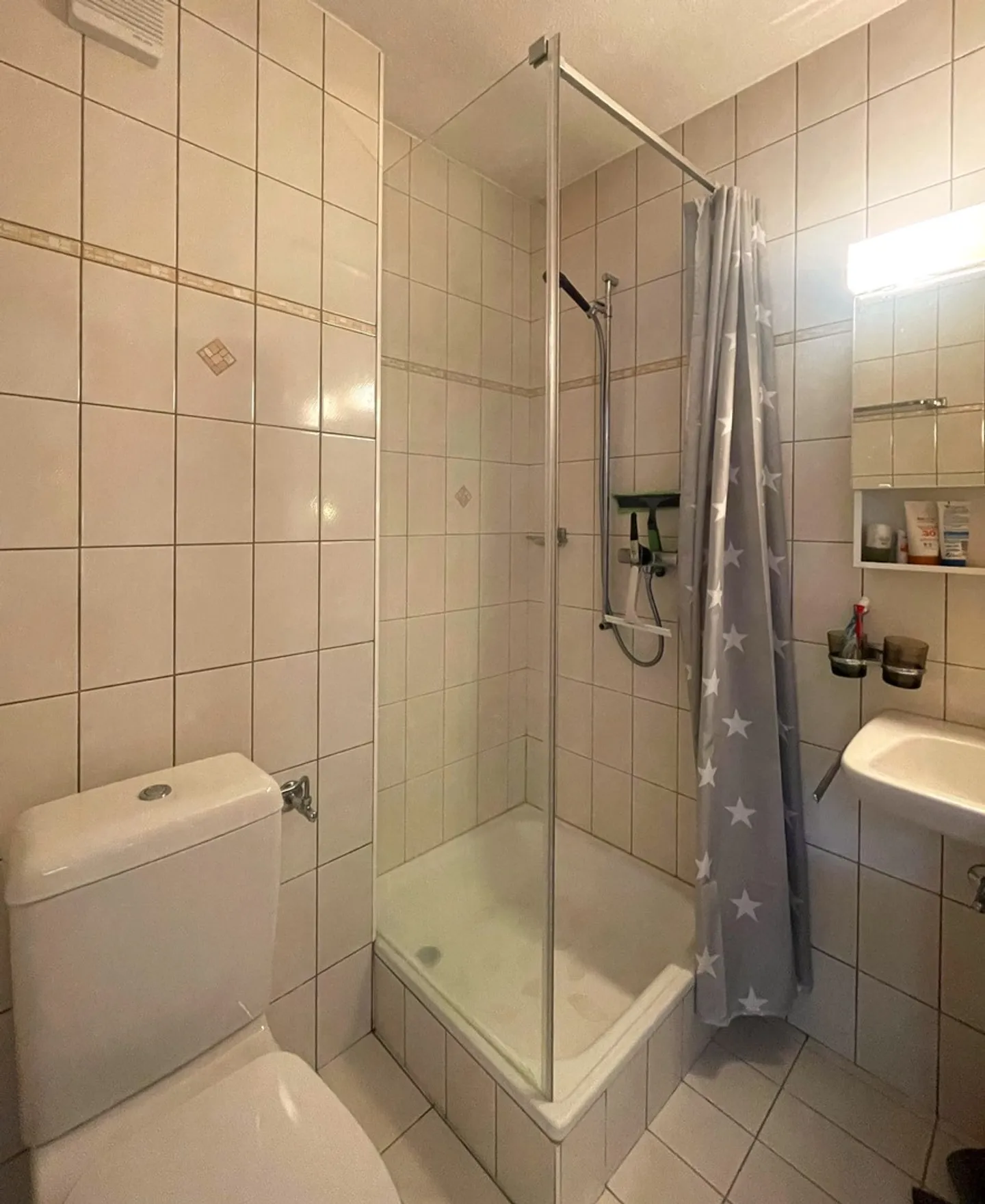 MOLESON | 2.5 Room Apartment - Photo 6 of 7