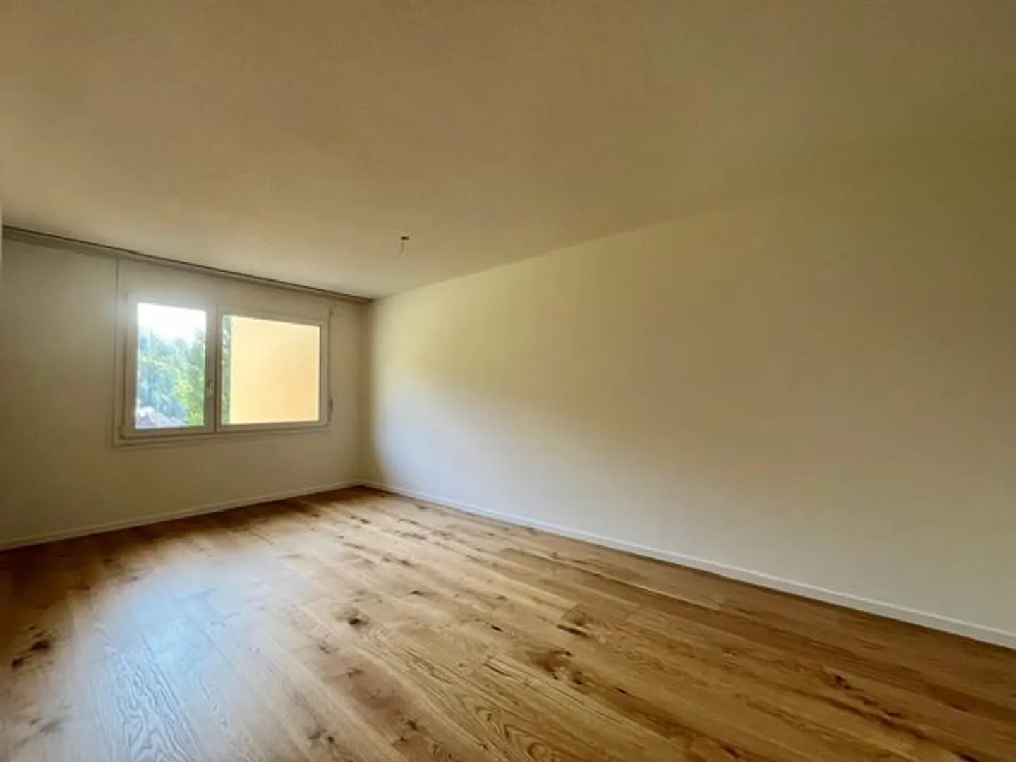 Newly renovated apartment with fireplace on the top floor - Photo 5 of 11