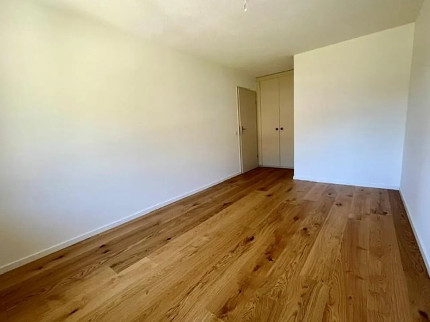 Newly renovated apartment with fireplace on the top floor - Photo 9 of 11
