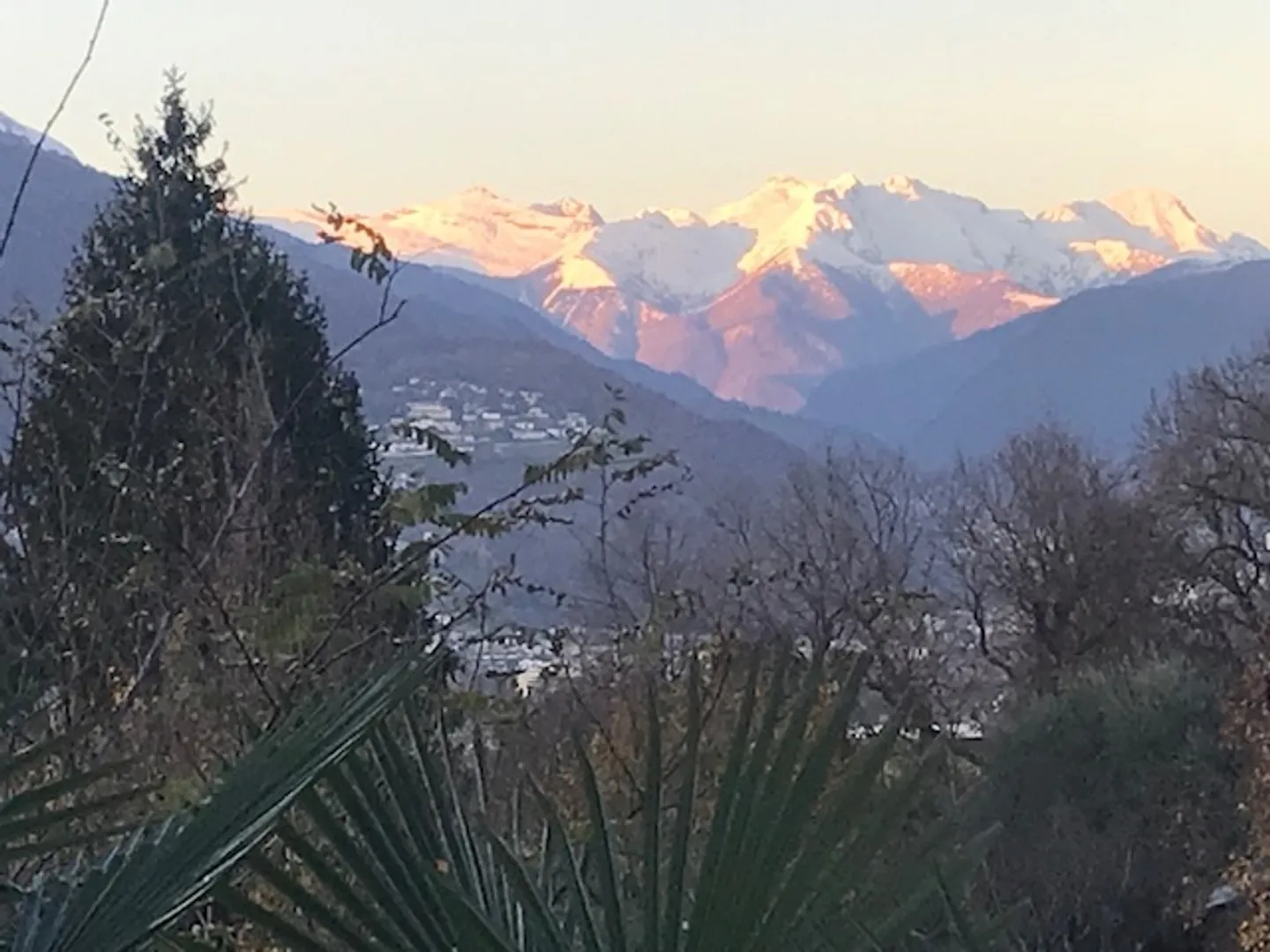 Appartamento in affitto - Foto 1 di 5